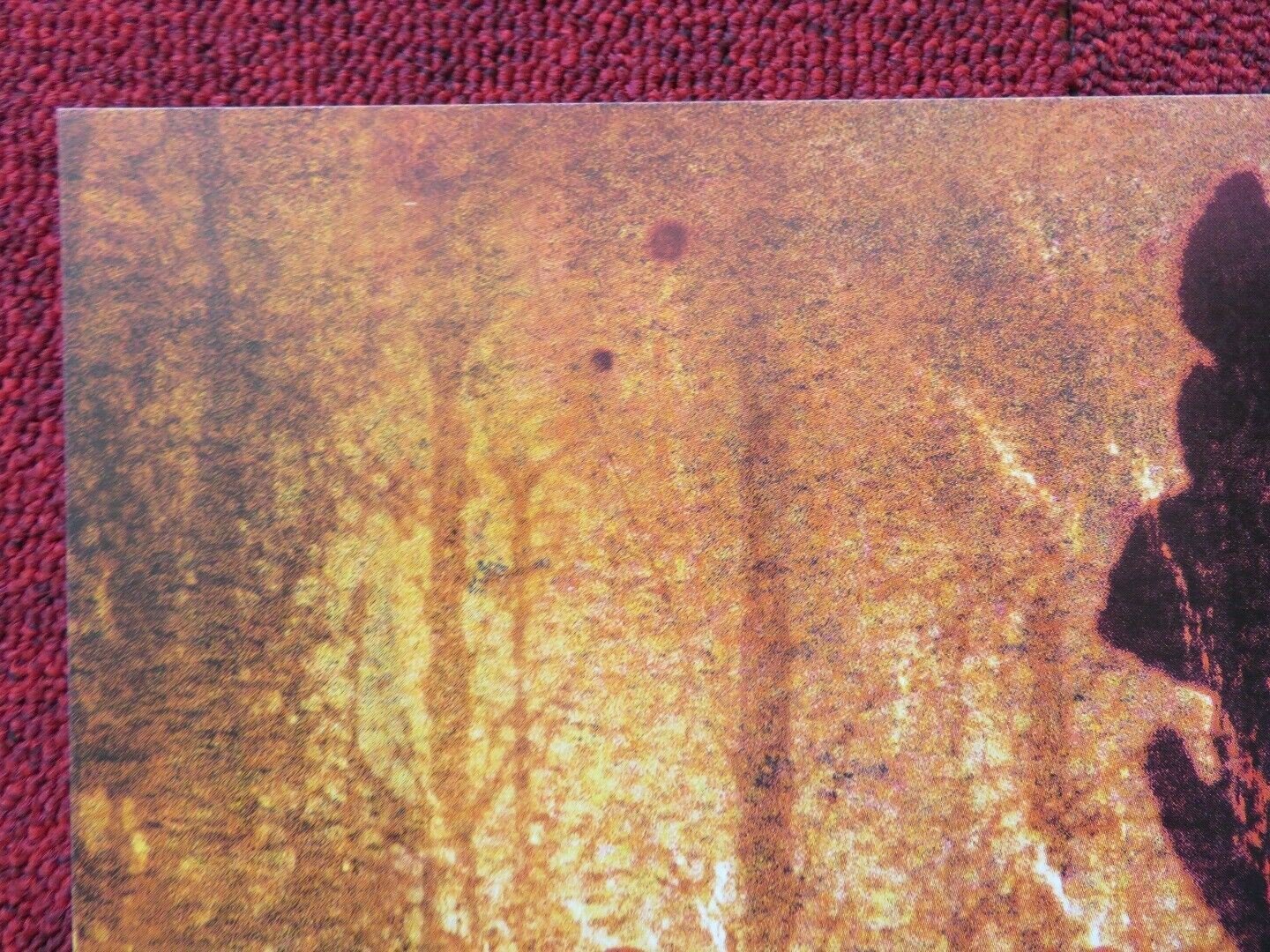 BLAIR WITCH 2 FRENCH (16"x 21") POSTER KURT LODER 2000 Movie posters