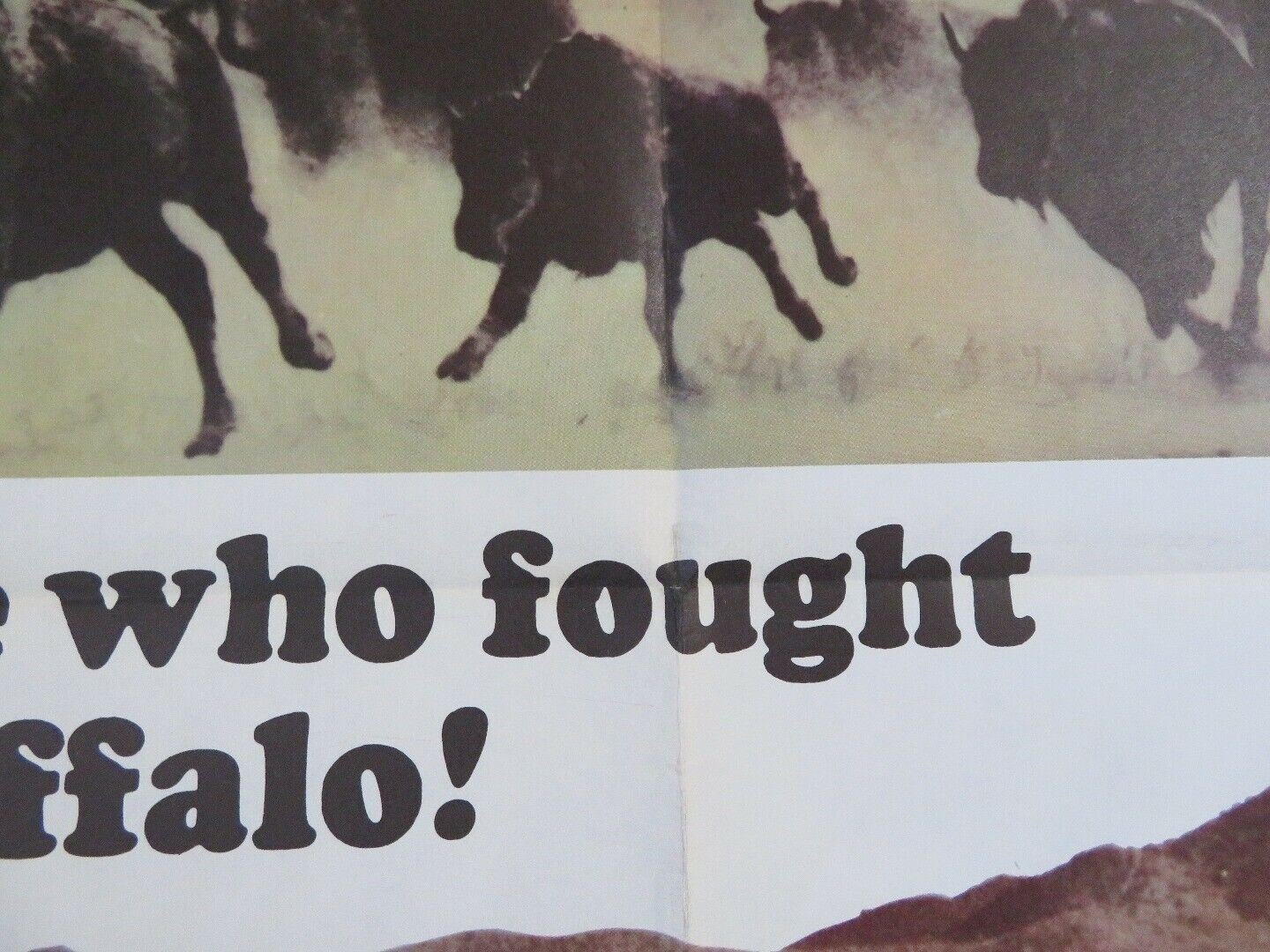 BLESS THE BEASTS & CHILDREN US ONE SHEET (27"x 41") POSTER BILLY MUMY 1971 Movie posters