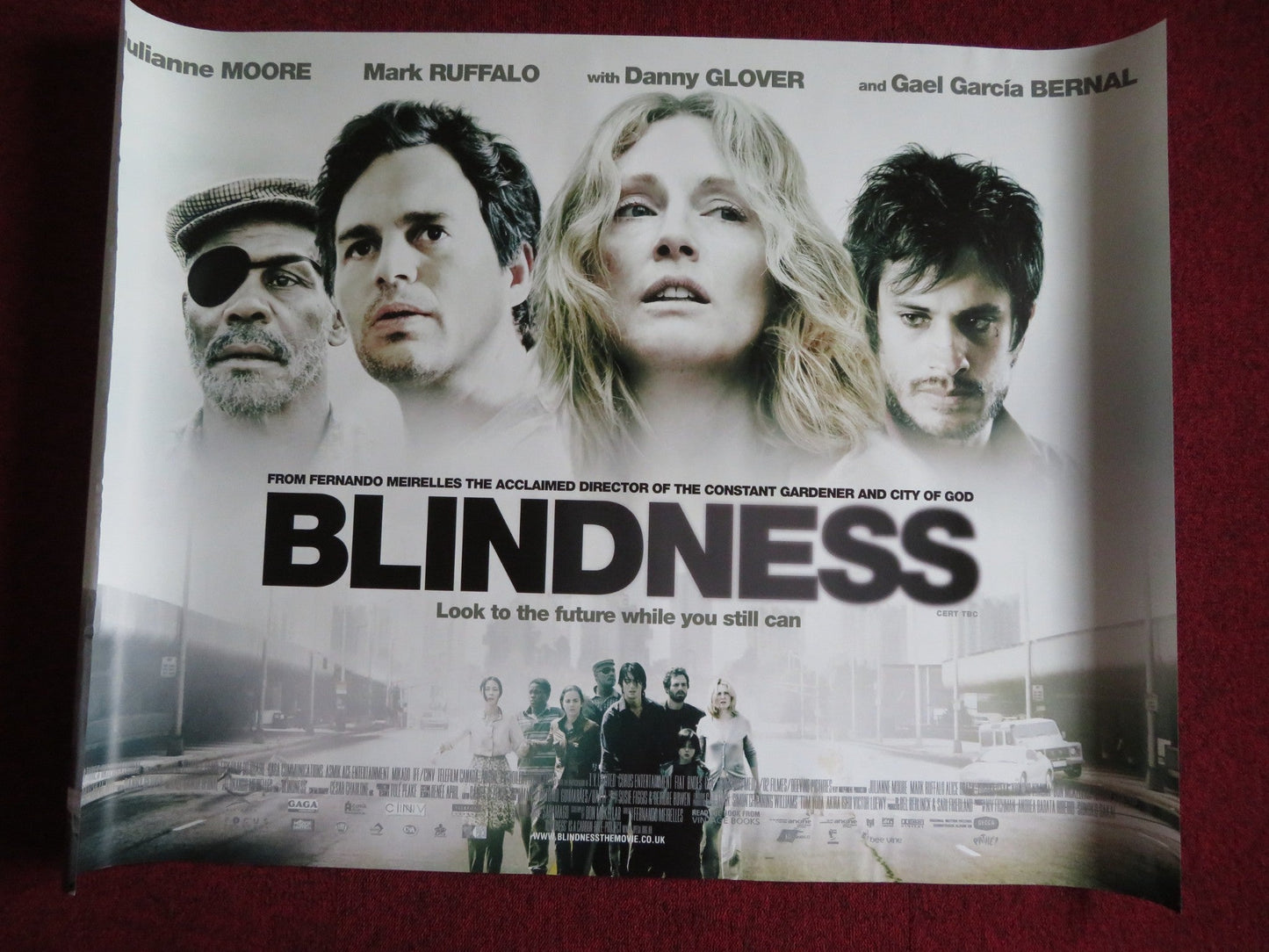 BLINDNESS UK QUAD (30"x 40") ROLLED POSTER DANNY GLOVER JULIANNE MOORE 2008 Rendezvous Cinema Movie posters