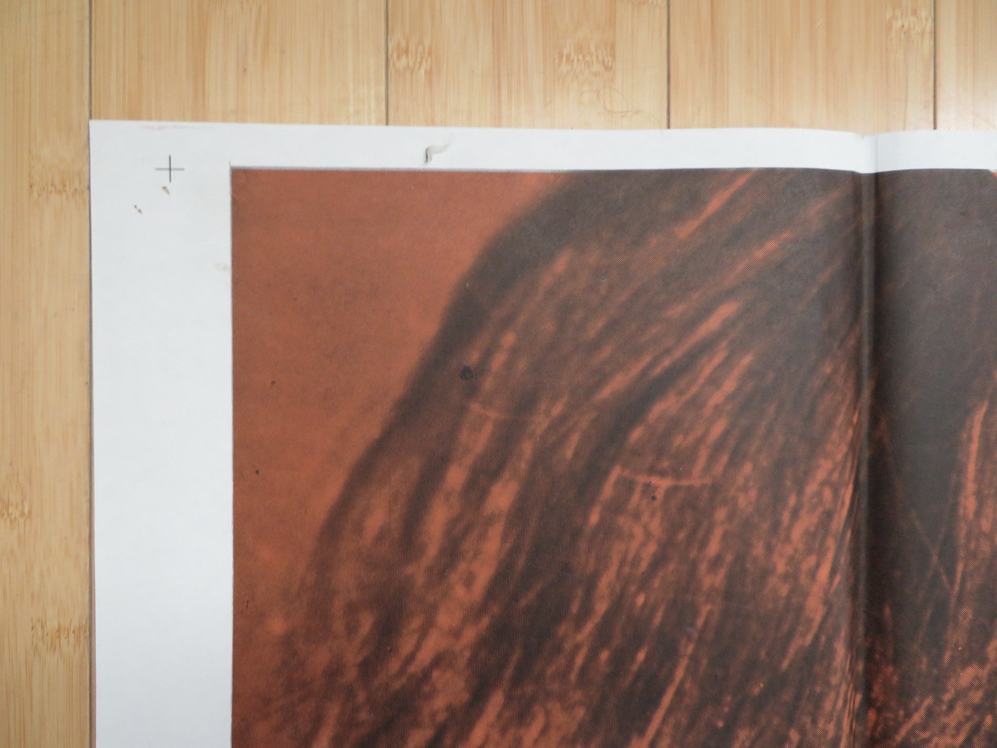 BLOW HOT, BLOW COLD US 3 SHEET POSTER GUILIANO GEMMA BIBI ANDERSSON 1969 Rendezvous Cinema Movie posters