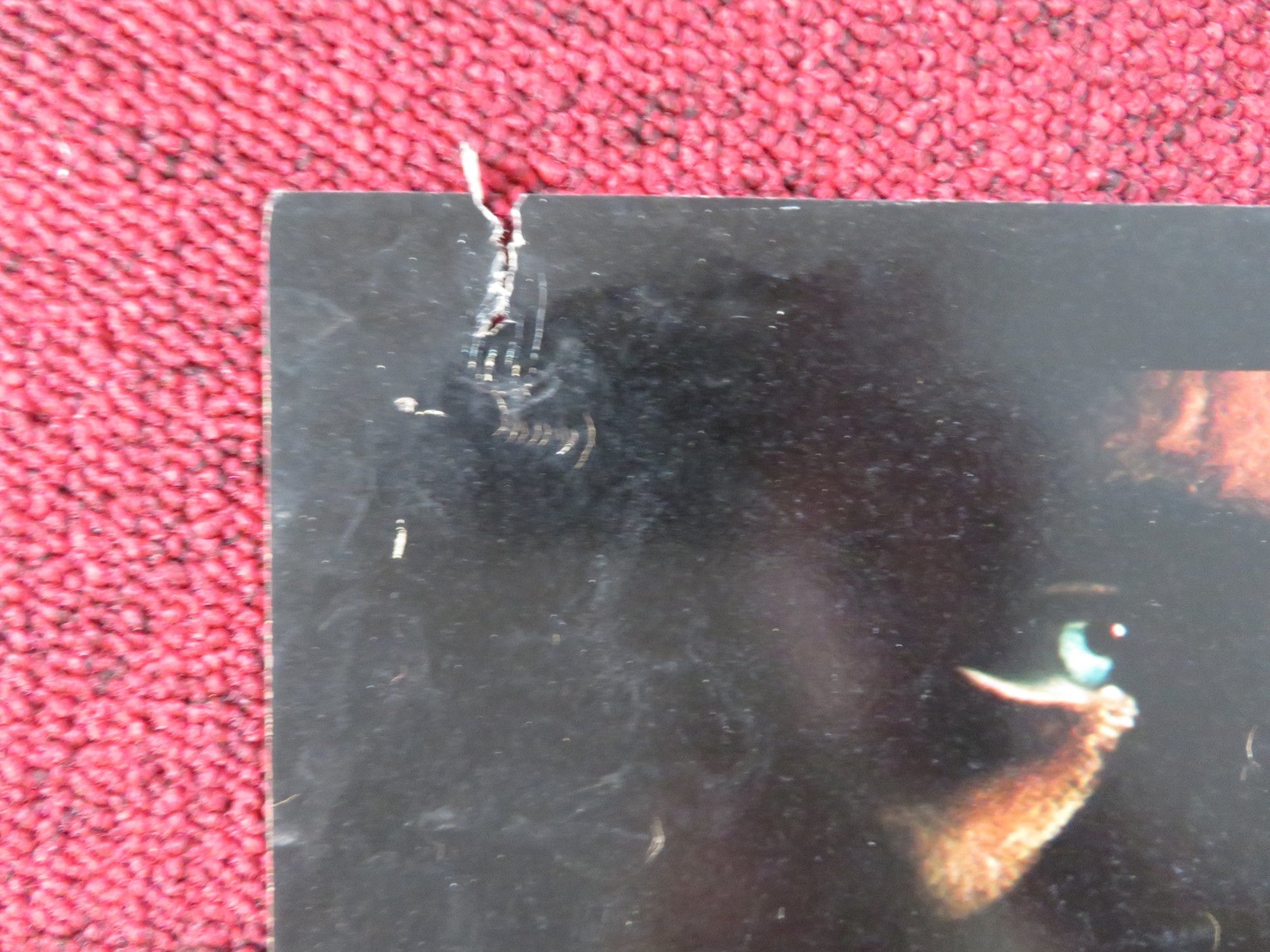 BLUE - C ITALIAN FOTOBUSTA POSTER TERENCE STAMP JOANNA PETTET 1968 Rendezvous Cinema Movie posters