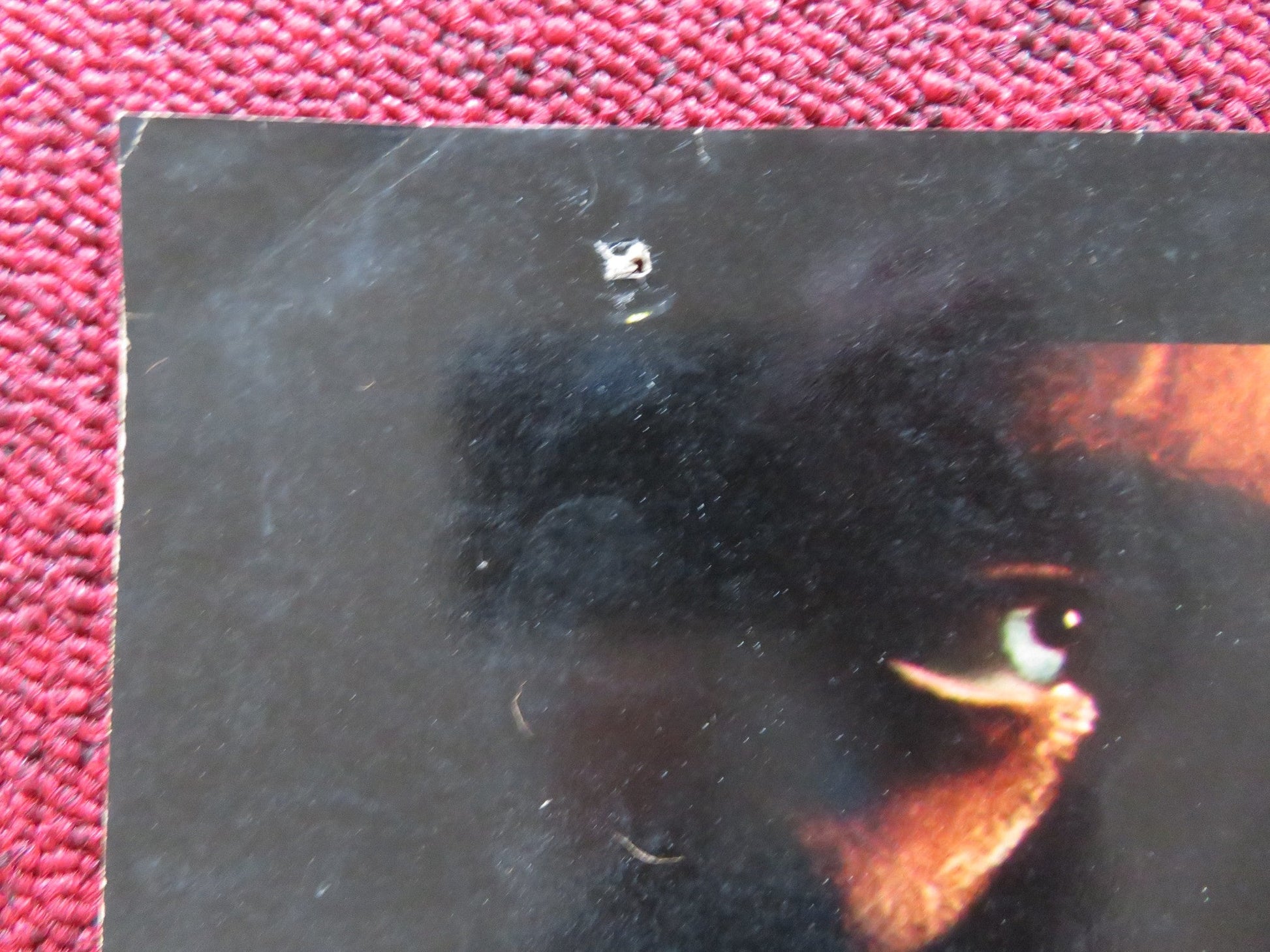 BLUE - C ITALIAN FOTOBUSTA POSTER TERENCE STAMP JOANNA PETTET 1968 Rendezvous Cinema Movie posters