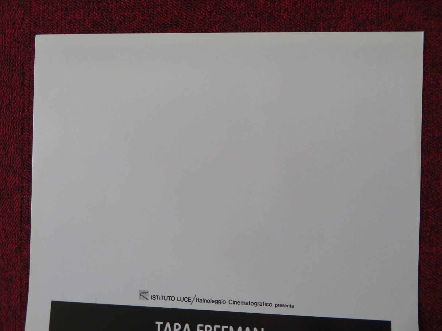 BLUE DOLPHIN - L'AVVENTURA CONTINUA ITALIAN LOCANDINA (27.5"x13") POSTER 1990 Movie posters