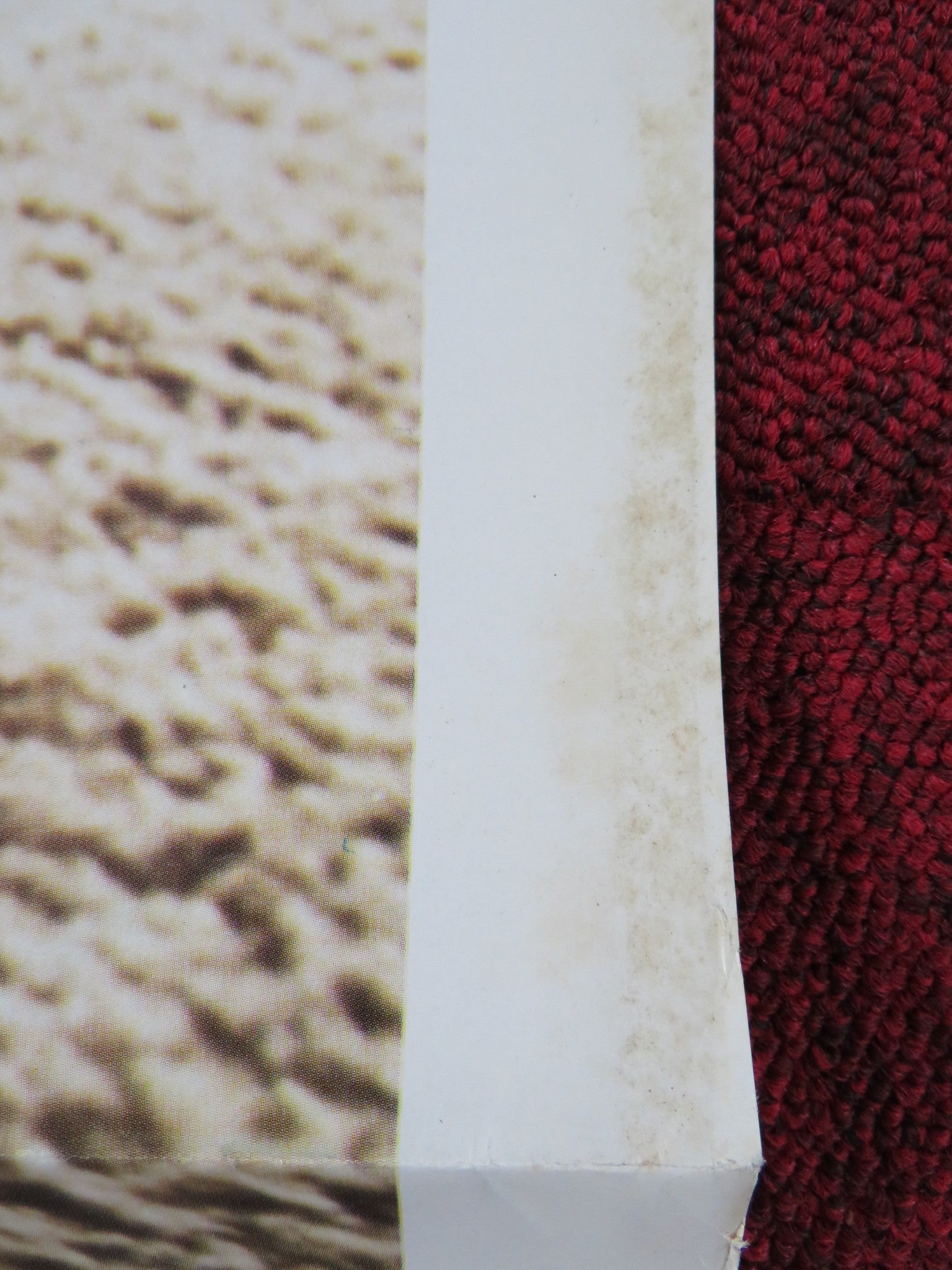 BLUE ECSTASY US TRI FOLDED ONE SHEET ROLLED POSTER L. BOVEE SAMANTHA FOX 1980 Rendezvous Cinema Movie posters