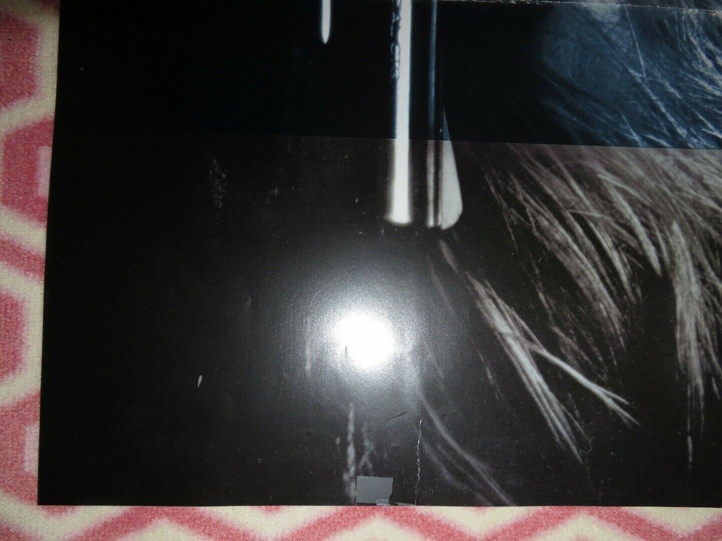 BLUE STEEL FOLDED US ONE SHEET POSTER JAMIE LEE CURTIS RON SILVER 1990 Movie posters