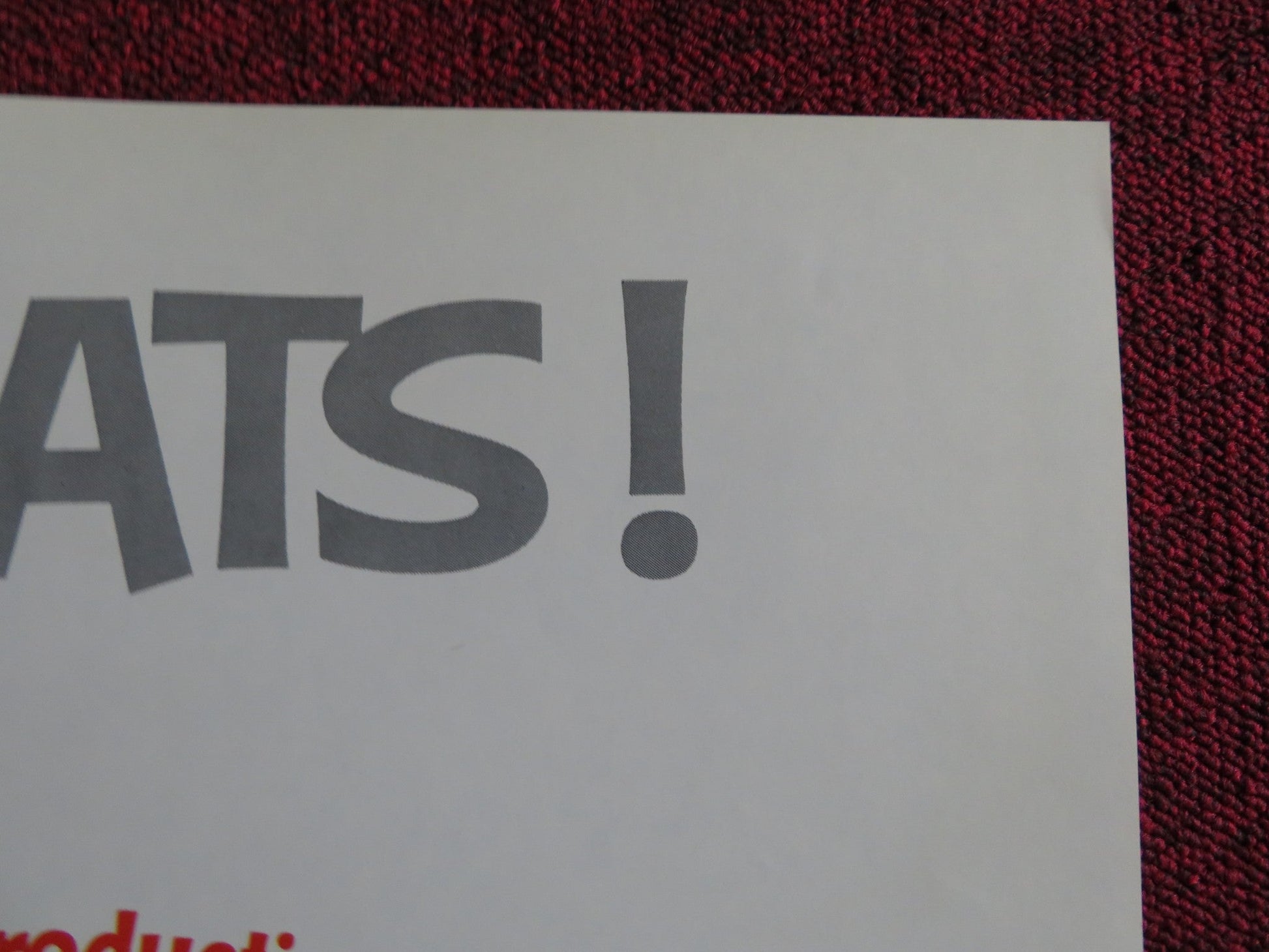 BOATNIKS - STYLE B FOLDED US ONE SHEET POSTER DISNEY ROVERT MORSE 1970 Rendezvous Cinema Movie posters