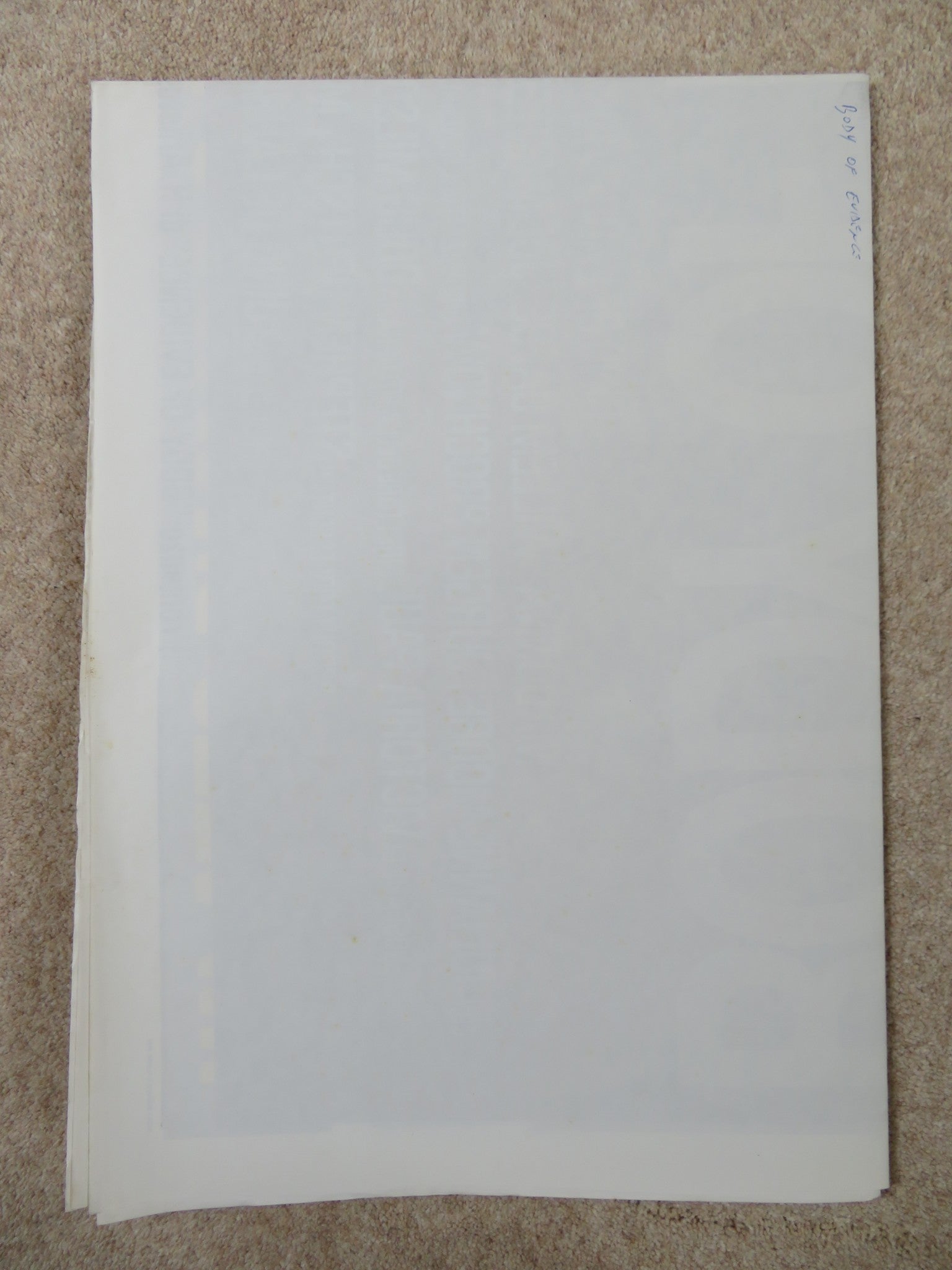 BODY OF EVIDENCE ITALIAN 2 FOGLIO POSTER MADONNA WILLEM DAFOE 1992 Rendezvous Cinema Movie posters