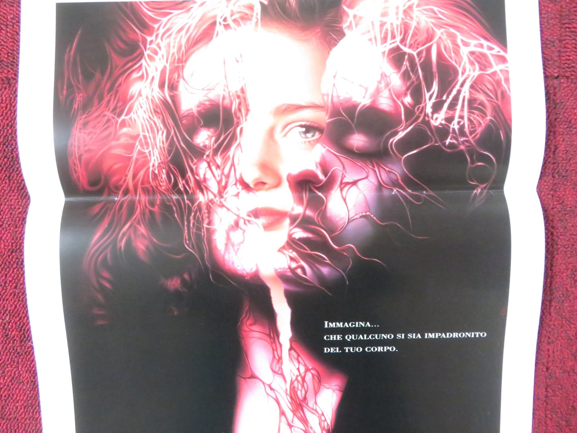 BODY SNATCHERS ITALIAN LOCANDINA POSTER TERRY KINNEY MEG TILLY 1993 Rendezvous Cinema Movie posters