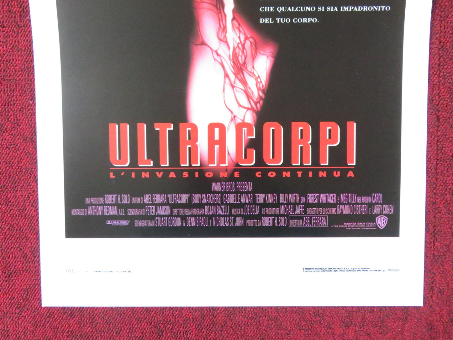 BODY SNATCHERS ITALIAN LOCANDINA POSTER TERRY KINNEY MEG TILLY 1993 Rendezvous Cinema Movie posters
