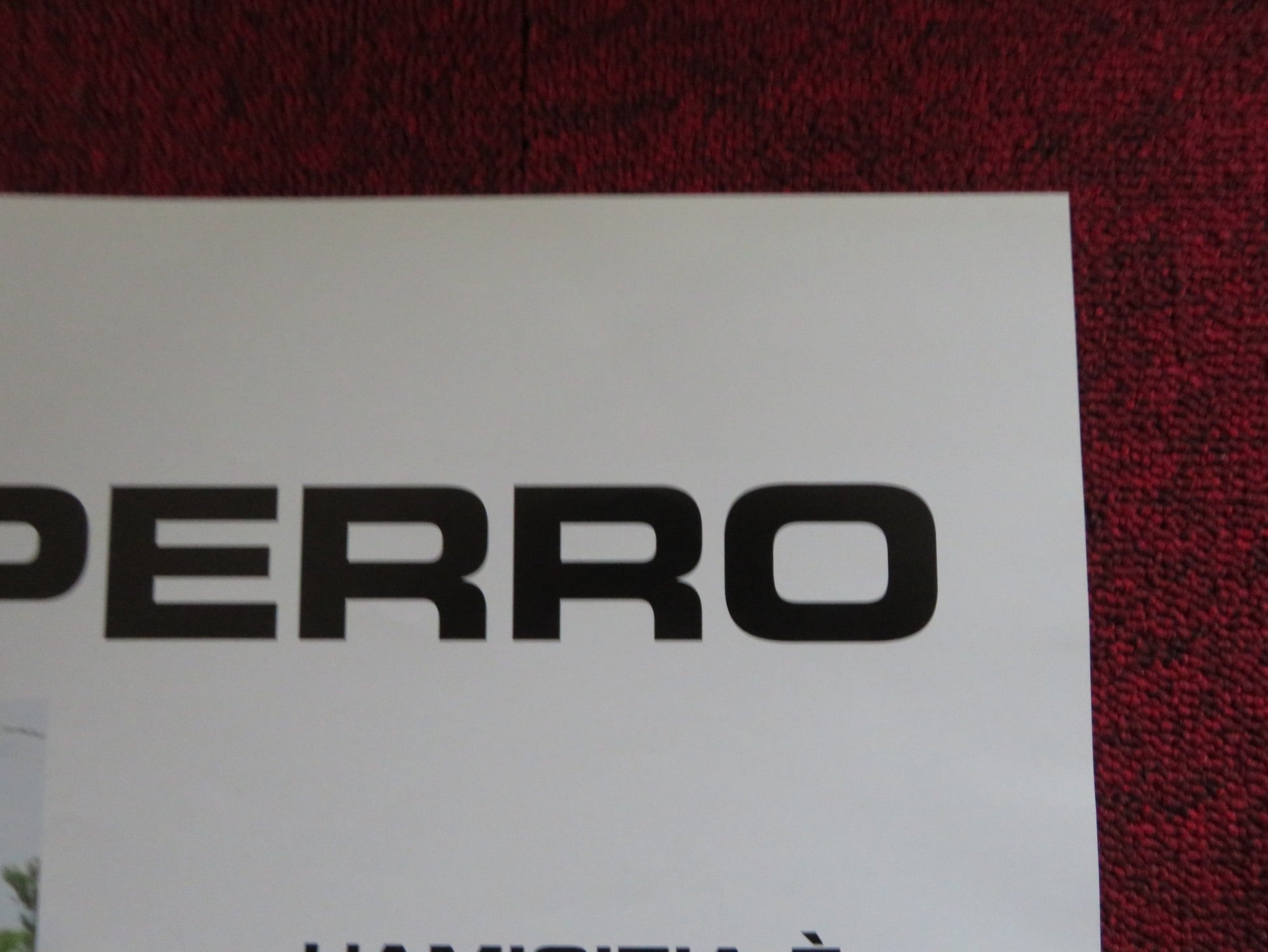 BOMBON EL PERRO - A ITALIAN FOTOBUSTA POSTER JUAN VILLEGAS WALTER DONADO 2004 Rendezvous Cinema Movie posters