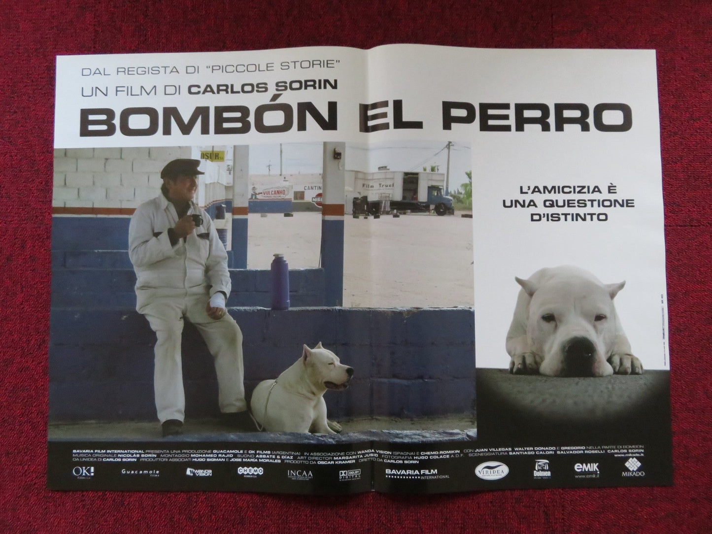 BOMBON EL PERRO - A ITALIAN FOTOBUSTA POSTER JUAN VILLEGAS WALTER DONADO 2004 Rendezvous Cinema Movie posters