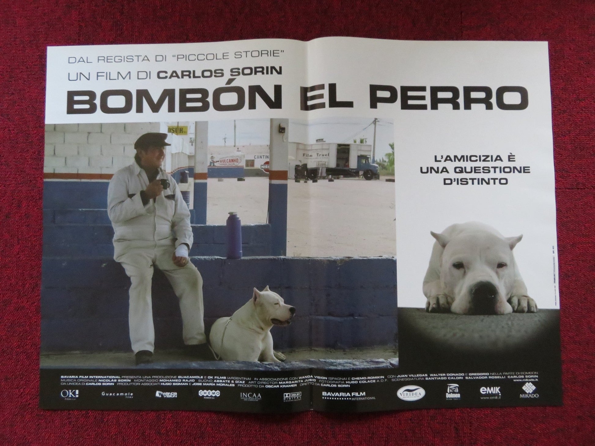 BOMBON EL PERRO - A ITALIAN FOTOBUSTA POSTER JUAN VILLEGAS WALTER DONADO 2004 Rendezvous Cinema Movie posters