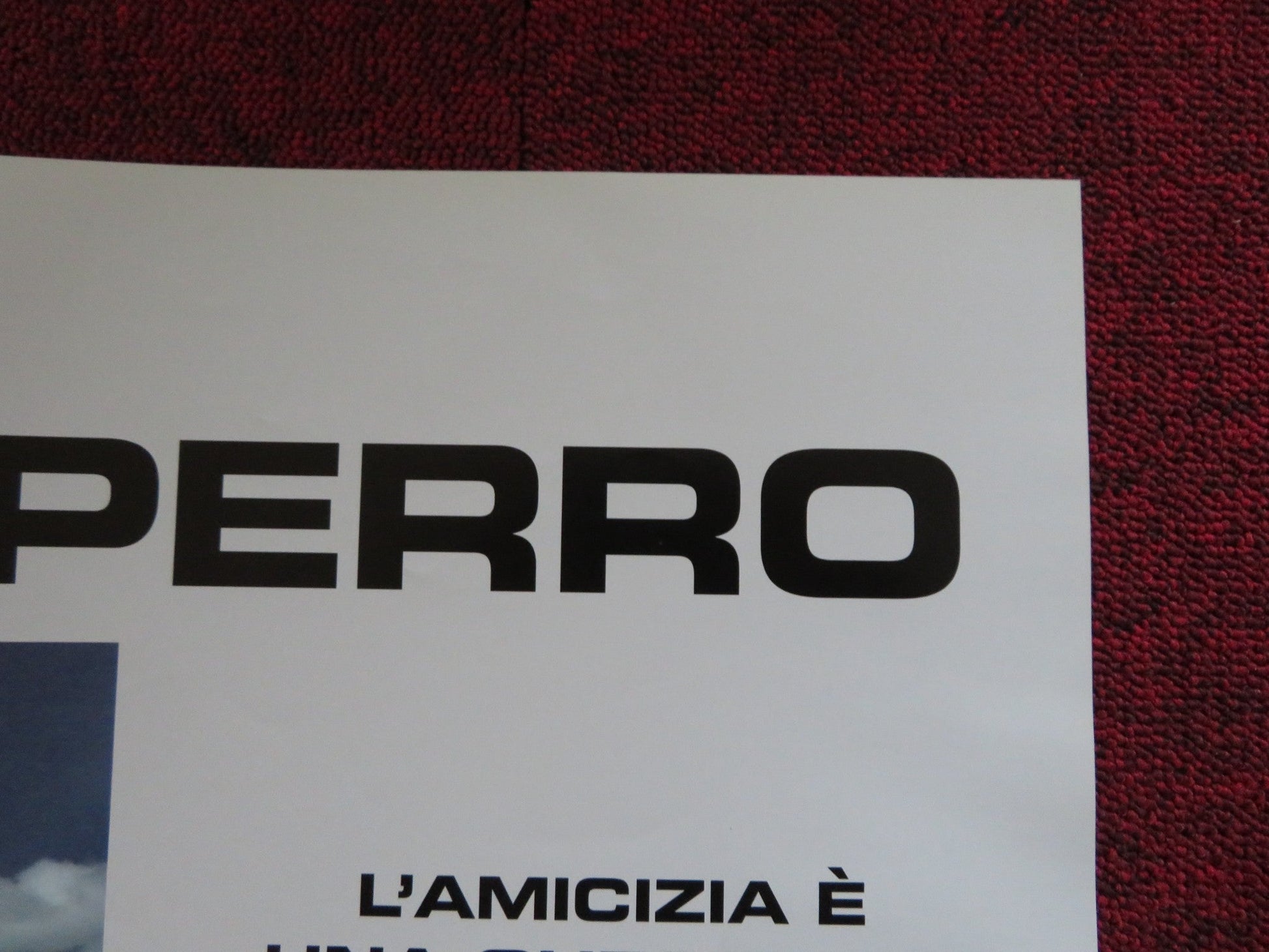 BOMBON EL PERRO - B ITALIAN FOTOBUSTA POSTER JUAN VILLEGAS WALTER DONADO 2004 Rendezvous Cinema Movie posters