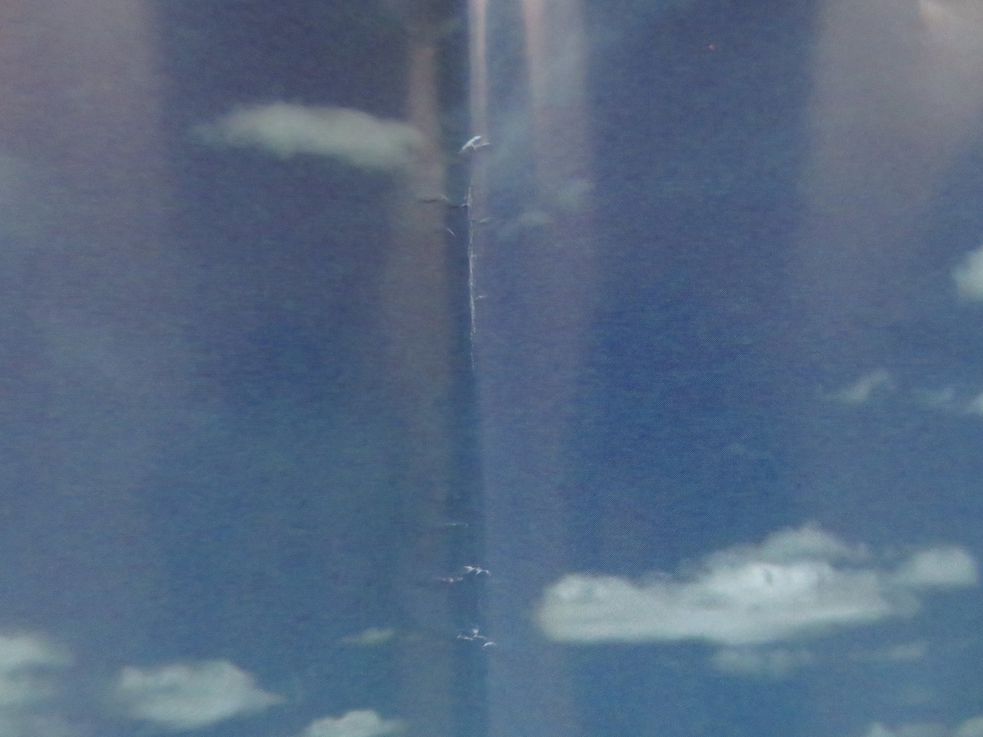 BOMBON EL PERRO - B ITALIAN FOTOBUSTA POSTER JUAN VILLEGAS WALTER DONADO 2004 Rendezvous Cinema Movie posters