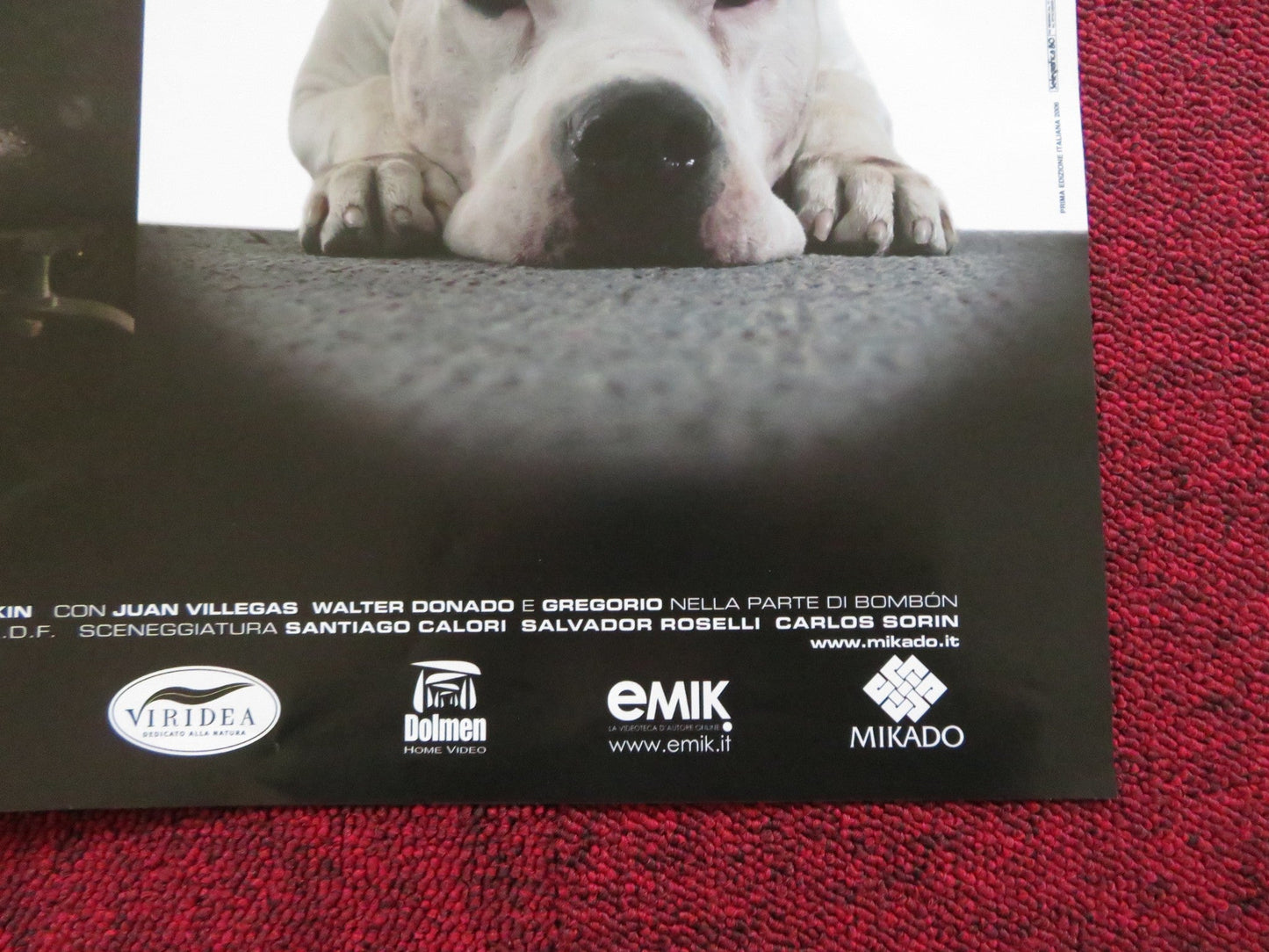 BOMBON EL PERRO - C ITALIAN FOTOBUSTA POSTER JUAN VILLEGAS WALTER DONADO 2004 Rendezvous Cinema Movie posters