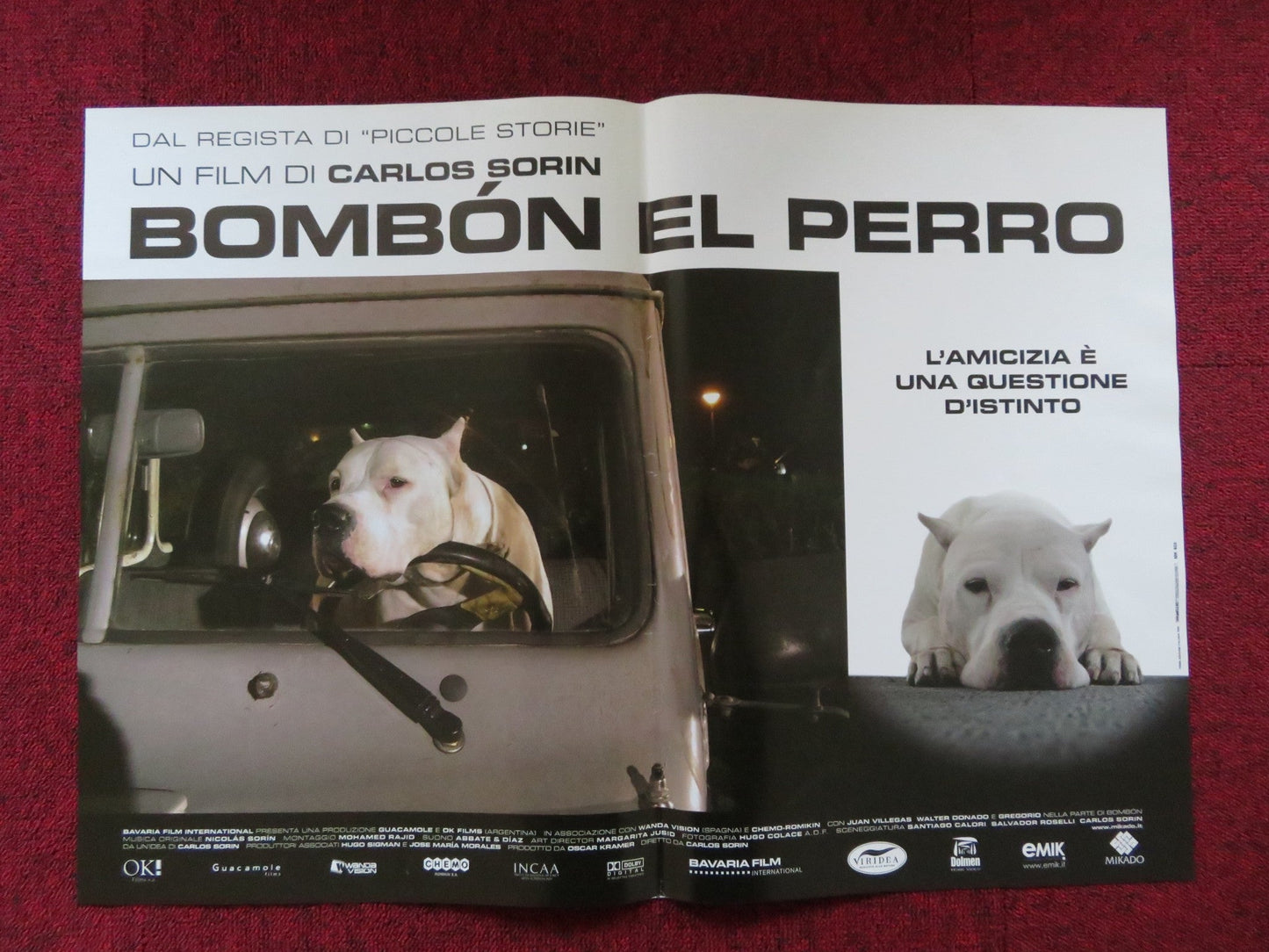 BOMBON EL PERRO - C ITALIAN FOTOBUSTA POSTER JUAN VILLEGAS WALTER DONADO 2004 Rendezvous Cinema Movie posters