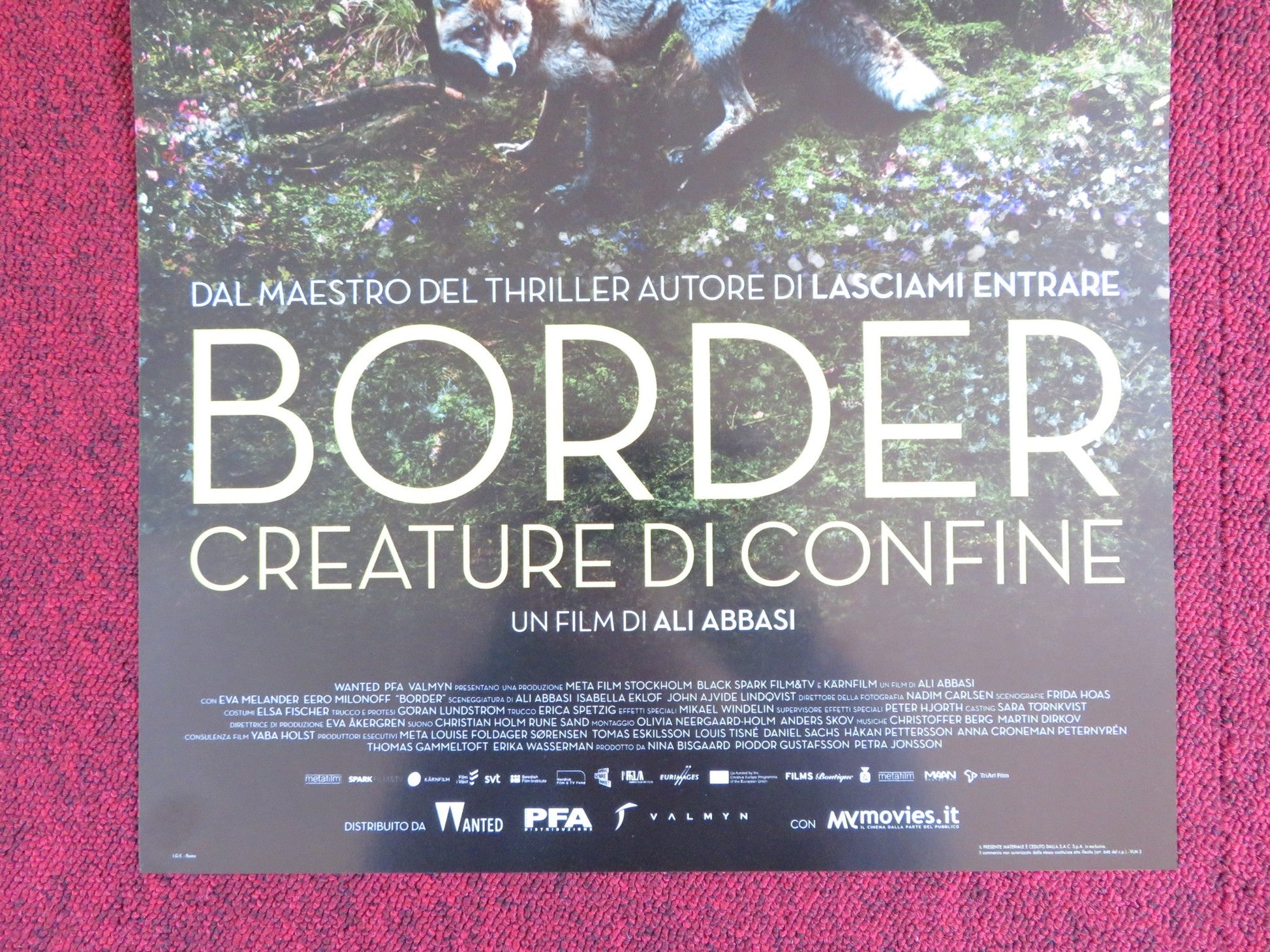 BORDER ITALIAN LOCANDINA POSTER EVA MELANDER EERO MILONOFF 2018 Rendezvous Cinema Movie posters