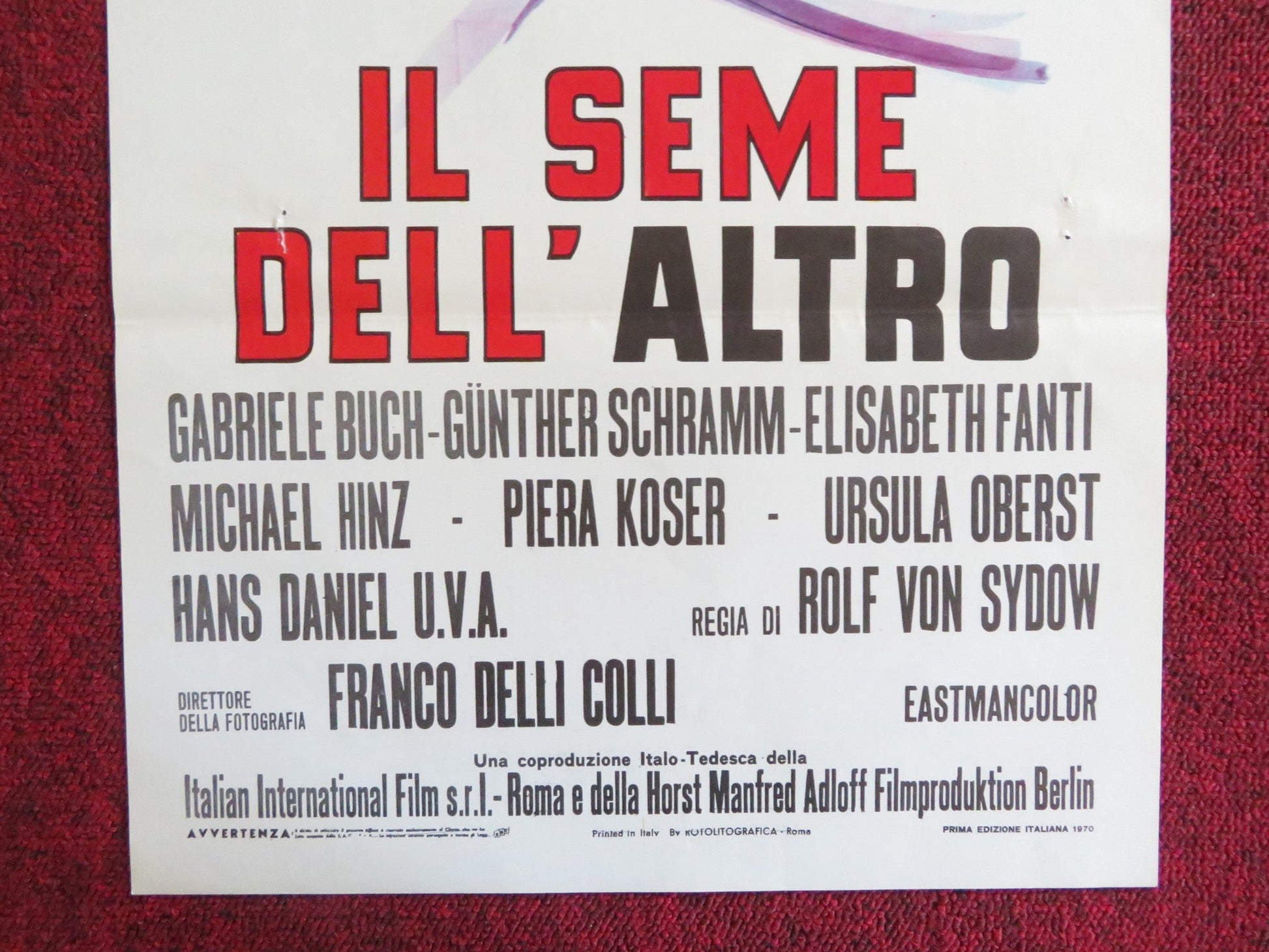 BORN BLACK TO WHITE PARENTS ITALIAN LOCANDINA POSTER GABRIELE BUCH 1970 Rendezvous Cinema Movie posters