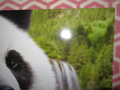 BORN IN CHINA US ONE SHEET ROLLED POSTER DISNEY JOHN KRASINSKI 2016 Movie posters