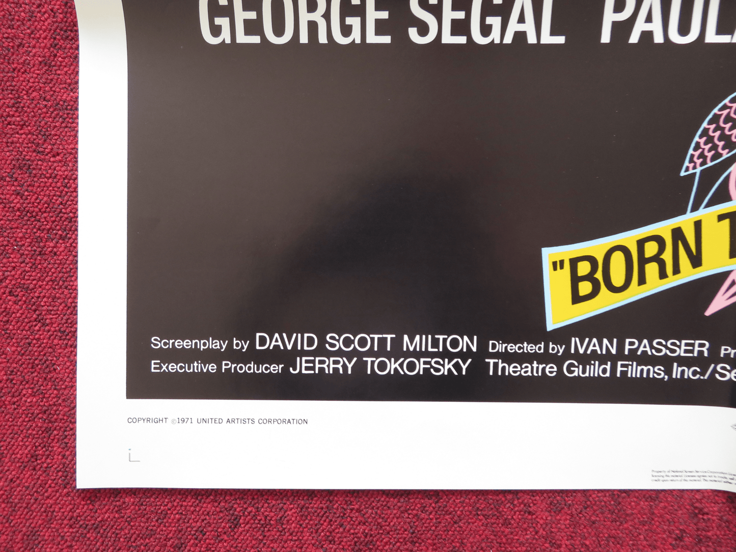 BORN TO WIN FOLDED US ONE SHEET POSTER GEORGE SEGAL PAULA PRENTISS 1971 Rendezvous Cinema Movie posters