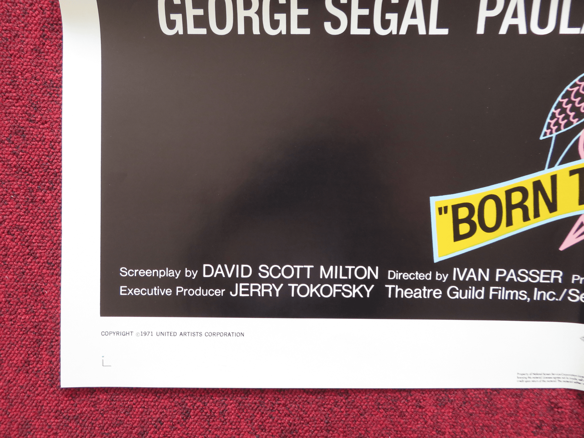 BORN TO WIN FOLDED US ONE SHEET POSTER GEORGE SEGAL PAULA PRENTISS 1971 Rendezvous Cinema Movie posters