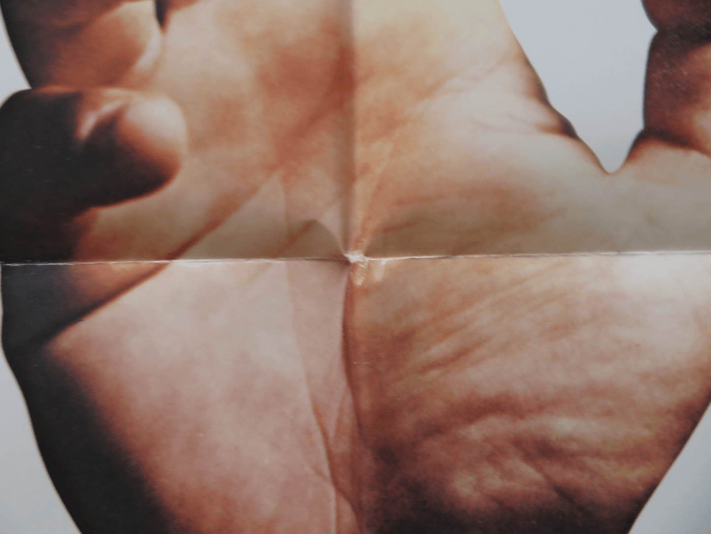 BORN TO WIN FOLDED US ONE SHEET POSTER GEORGE SEGAL PAULA PRENTISS 1971 Rendezvous Cinema Movie posters