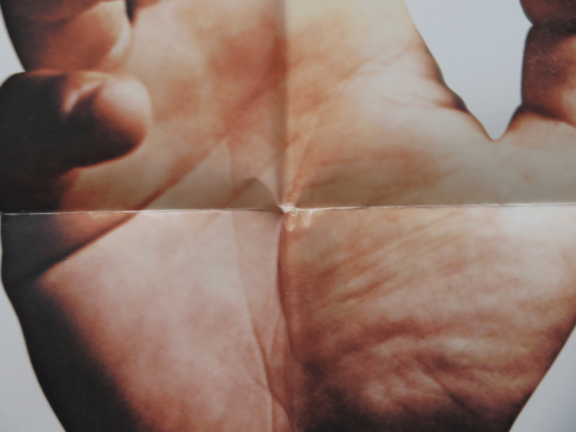 BORN TO WIN FOLDED US ONE SHEET POSTER GEORGE SEGAL PAULA PRENTISS 1971 Rendezvous Cinema Movie posters