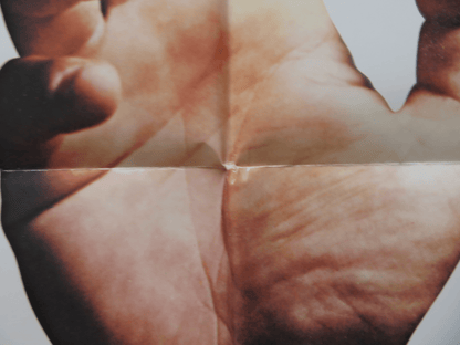 BORN TO WIN FOLDED US ONE SHEET POSTER GEORGE SEGAL PAULA PRENTISS 1971 Rendezvous Cinema Movie posters