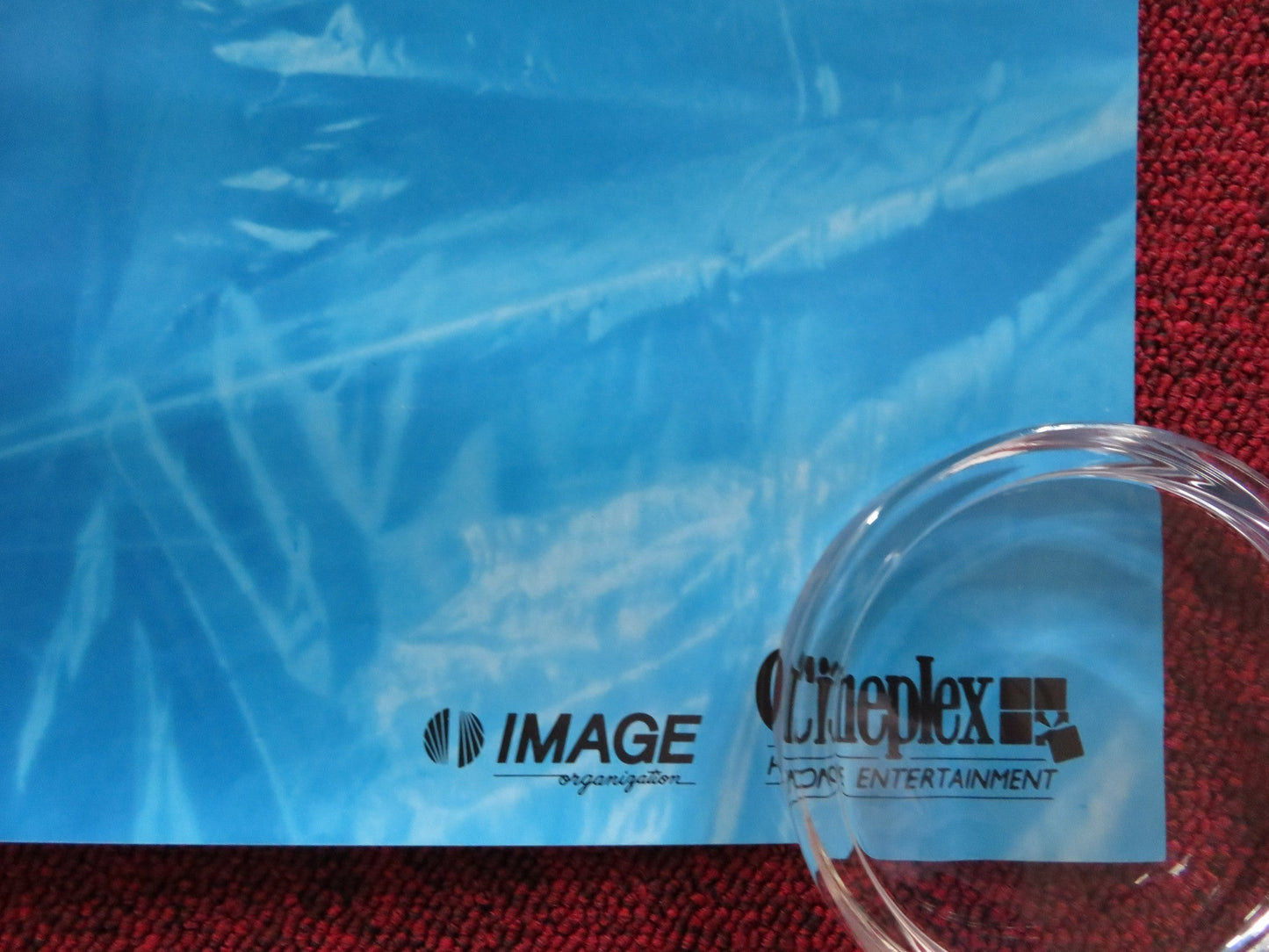 B.O.R.N VHS VIDEO POSTER ROSS HAGEN HOKE HOWELL 1989 Rendezvous Cinema Movie posters