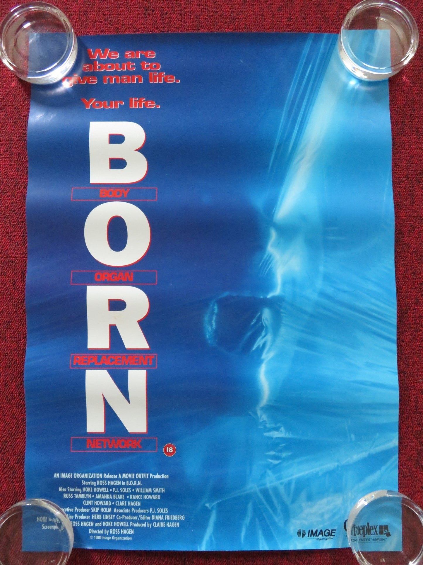 B.O.R.N VHS VIDEO POSTER ROSS HAGEN HOKE HOWELL 1989 Rendezvous Cinema Movie posters