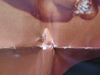 BORN YESTERDAY FOLDED US ONE SHEET POSTER MELANIE GRIFFITH JOHN GOODMAN 1993 Rendezvous Cinema Movie posters