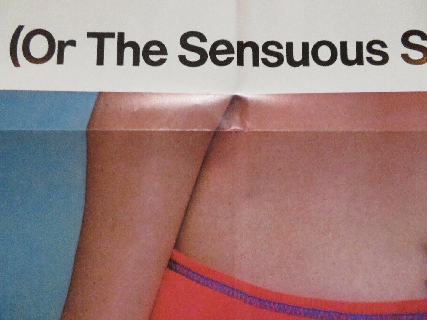 BOTTOMS UP US ONE SHEET POSTER ALENA PENZ RINALDO TALAMONTI 1974 Movie posters