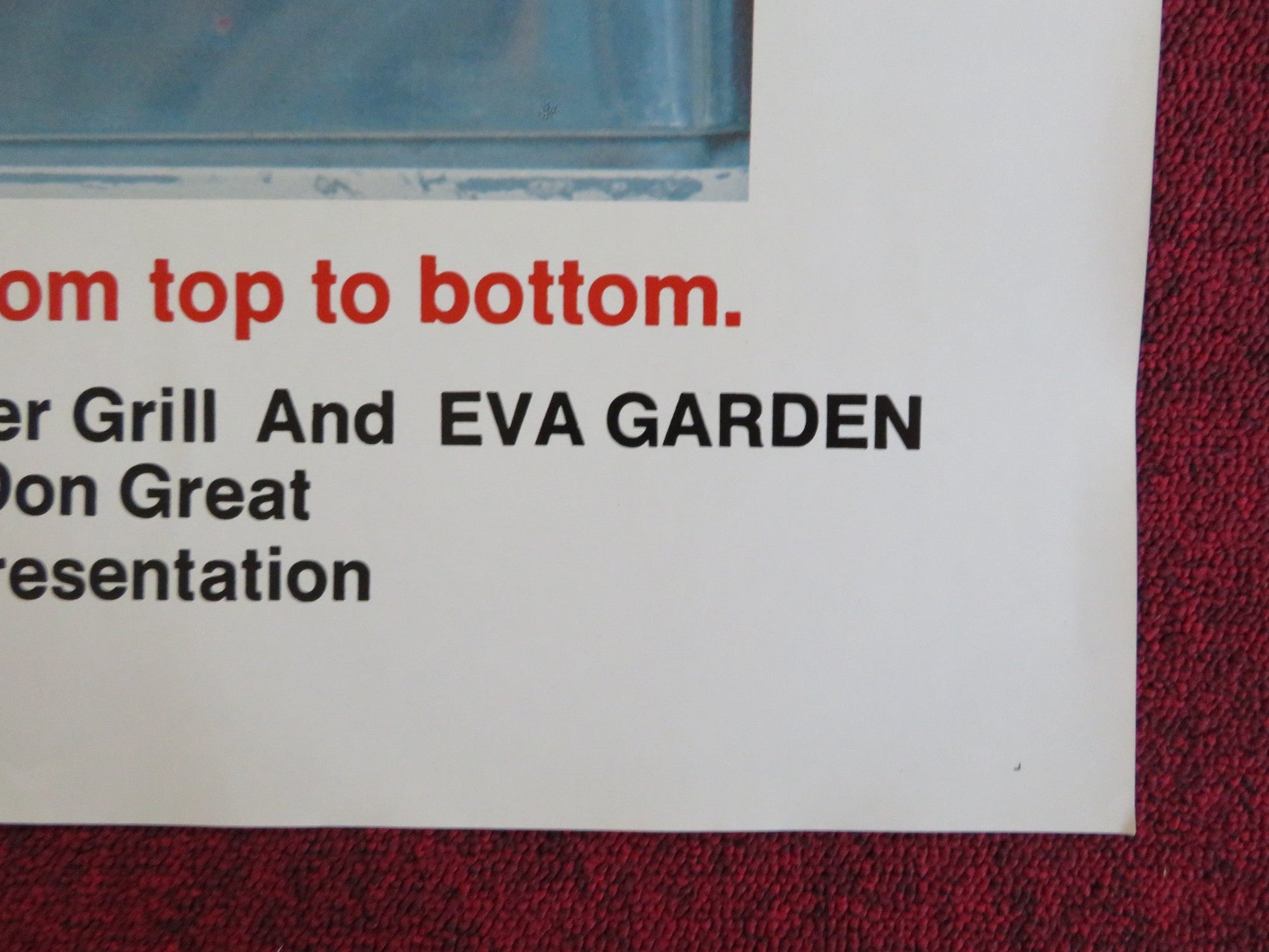 BOTTOMS UP US TRI FOLDED ONE SHEET ROLLED POSTER ALENA PENZ R. TALAMONTI 1974 Rendezvous Cinema Movie posters