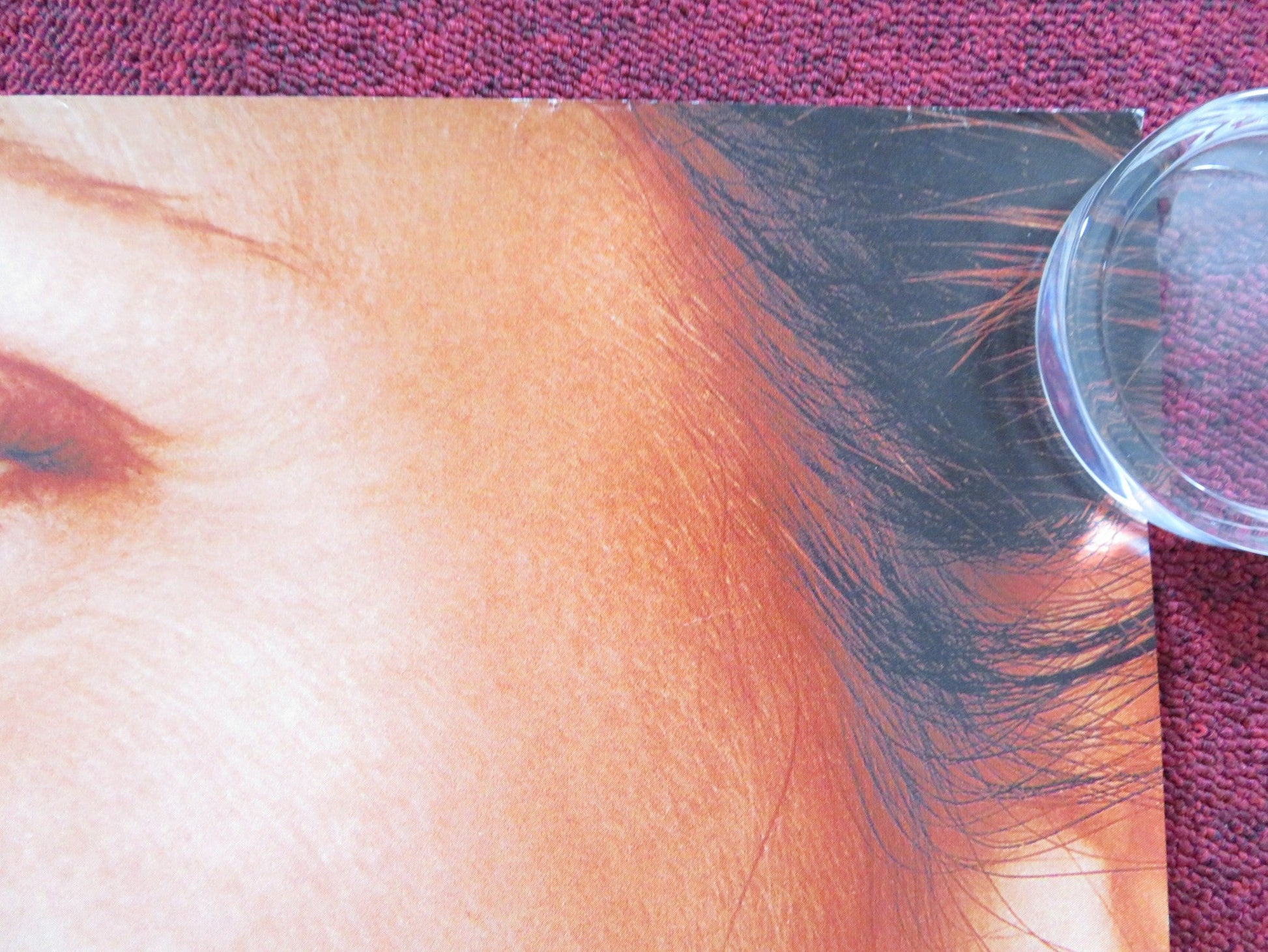 BOUNCE UK QUAD (30"x40") ROLLED POSTER BEN AFFLECK GWYNETH PALTROW 2000 Rendezvous Cinema Movie posters