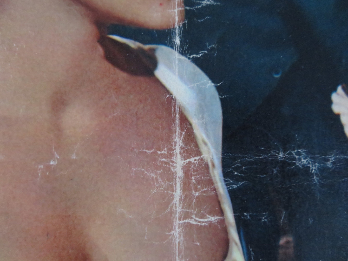 BOY, DID I GET A NUMBER WRONG - E ITALIAN FOTOBUSTA POSTER ELKE SOMMER 1966 Rendezvous Cinema Movie posters