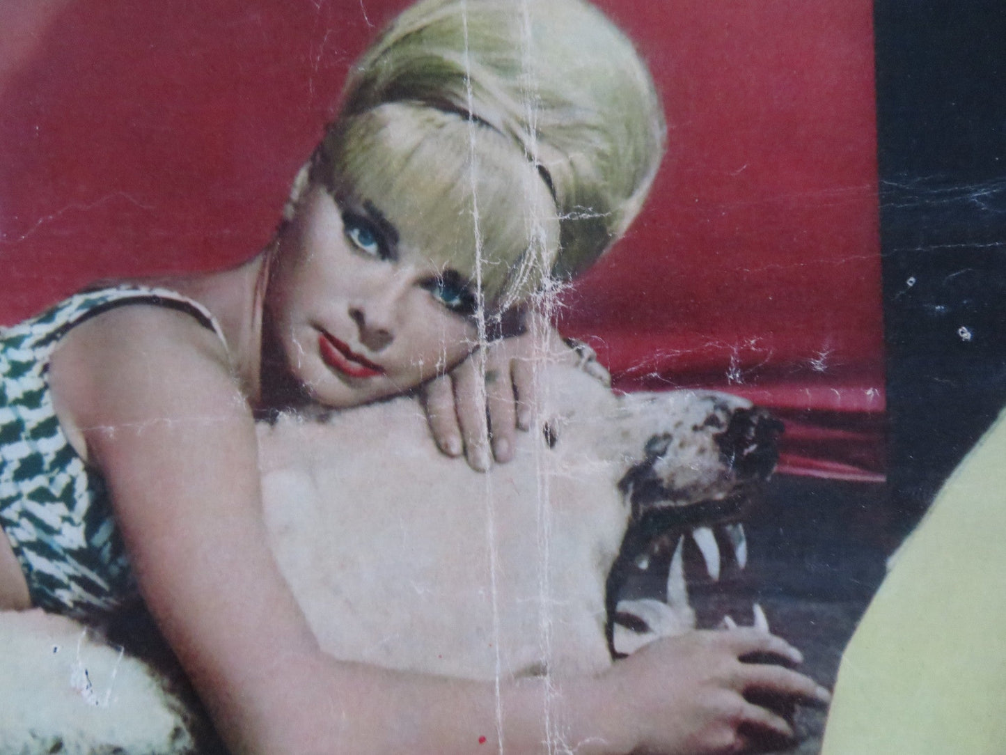 BOY, DID I GET A NUMBER WRONG - F ITALIAN FOTOBUSTA POSTER ELKE SOMMER 1966 Rendezvous Cinema Movie posters