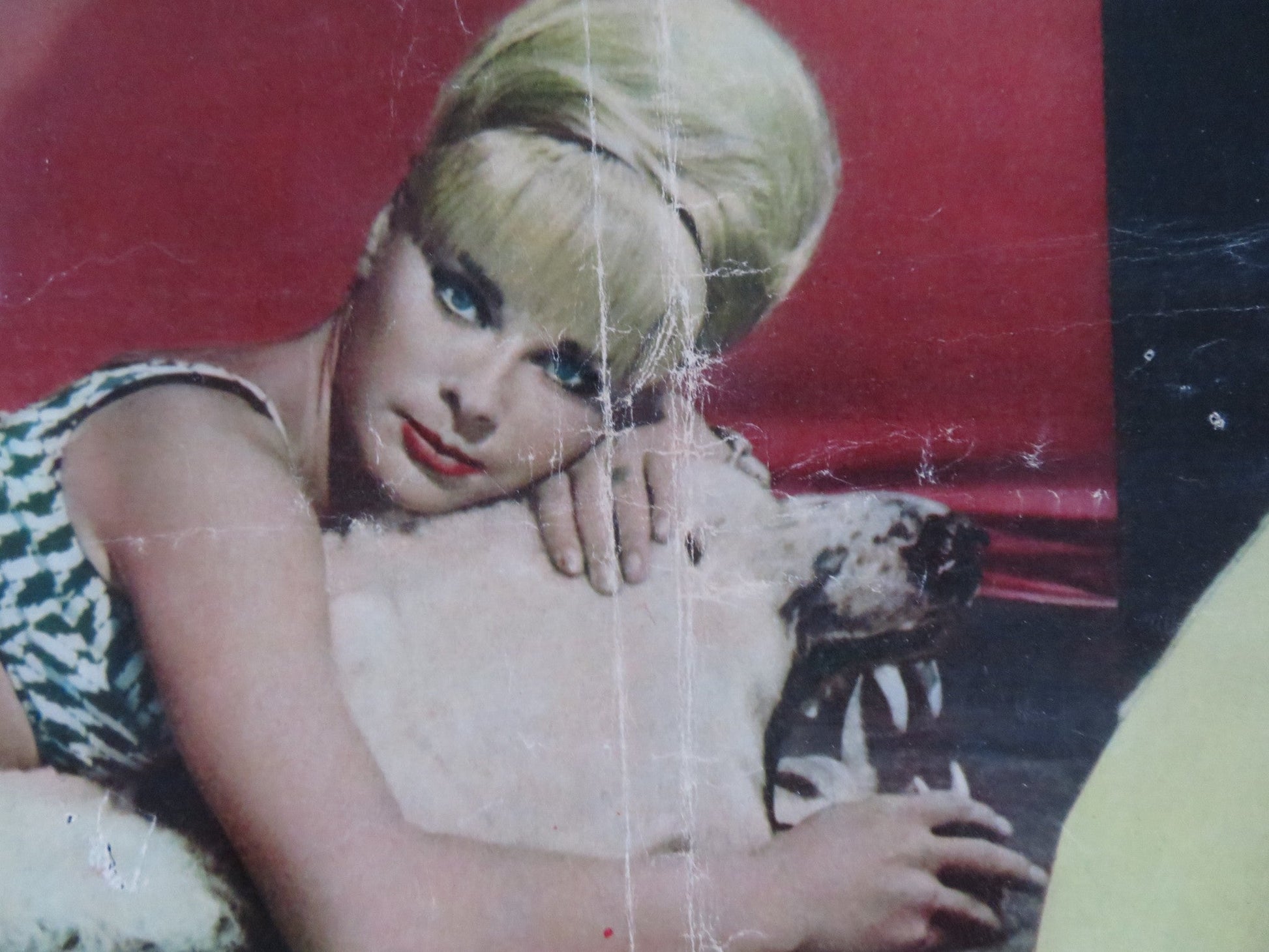 BOY, DID I GET A NUMBER WRONG - F ITALIAN FOTOBUSTA POSTER ELKE SOMMER 1966 Rendezvous Cinema Movie posters