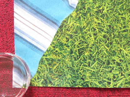 BOYHOOD UK QUAD (30"x 40") ROLLED POSTER ELLAR COLTRANE PATRICIA ARQUETTE 2014 Rendezvous Cinema Movie posters