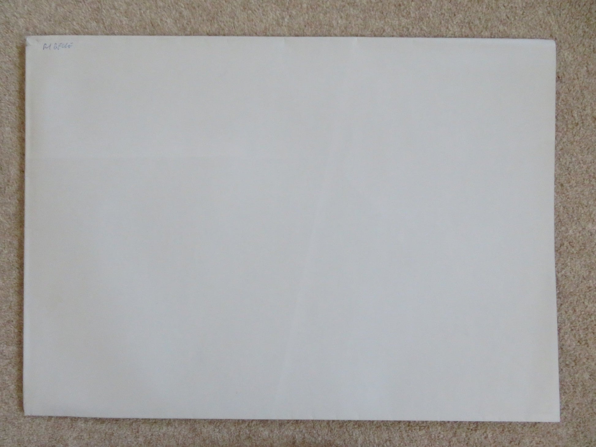 BRAVE ITALIAN 2 FOGLIO POSTER DISNEY KELLY MACDONALD BILLY CONNOLLY 2012 Rendezvous Cinema Movie posters