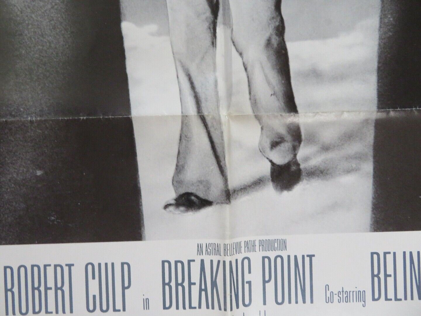 BREAKING POINT FOLDED US ONE SHEET POSTER BO SVENSON ROBERT CULP 1976 - Rendezvous Cinema