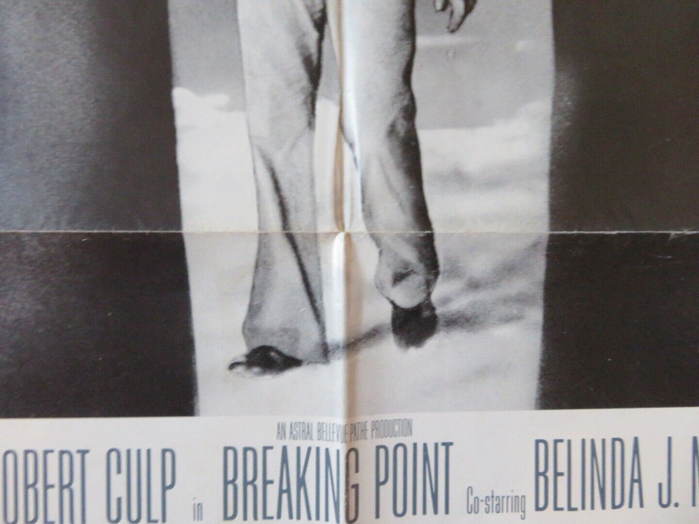 BREAKING POINT FOLDED US ONE SHEET POSTER BO SVENSON ROBERT CULP 1976 Movie posters