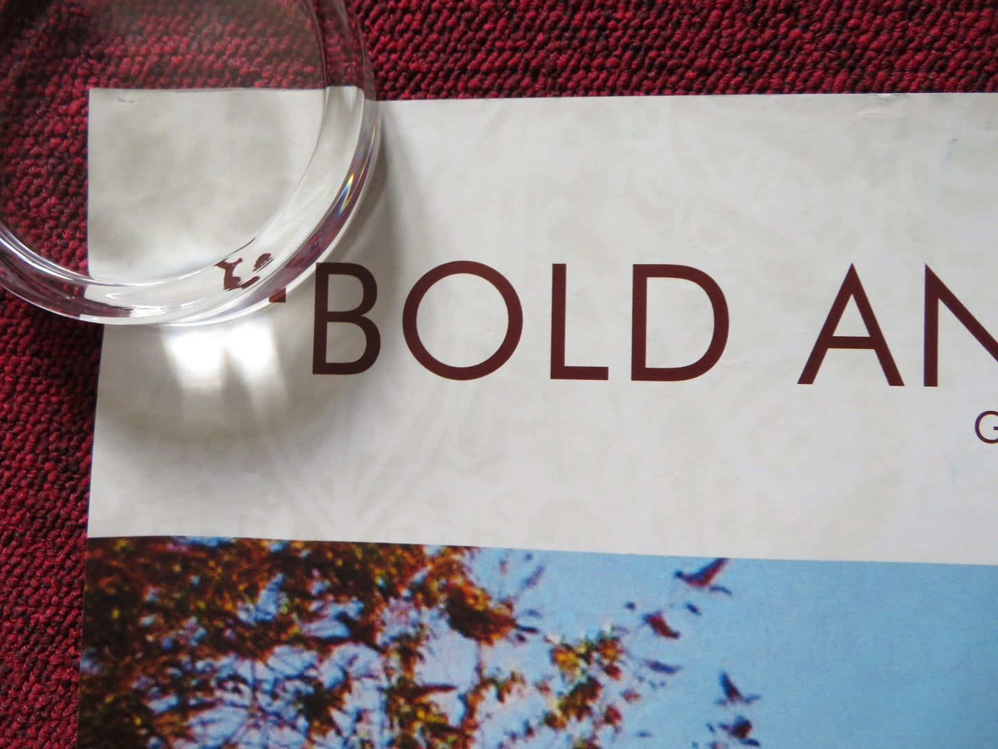 BRICK LANE UK QUAD (30"x 40") ROLLED POSTER TANNISHTHA CHATTERJEE 2007 Rendezvous Cinema Movie posters