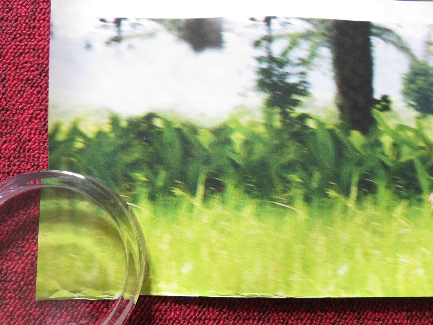 BRICK LANE UK QUAD (30"x 40") ROLLED POSTER TANNISHTHA CHATTERJEE 2007 Rendezvous Cinema Movie posters