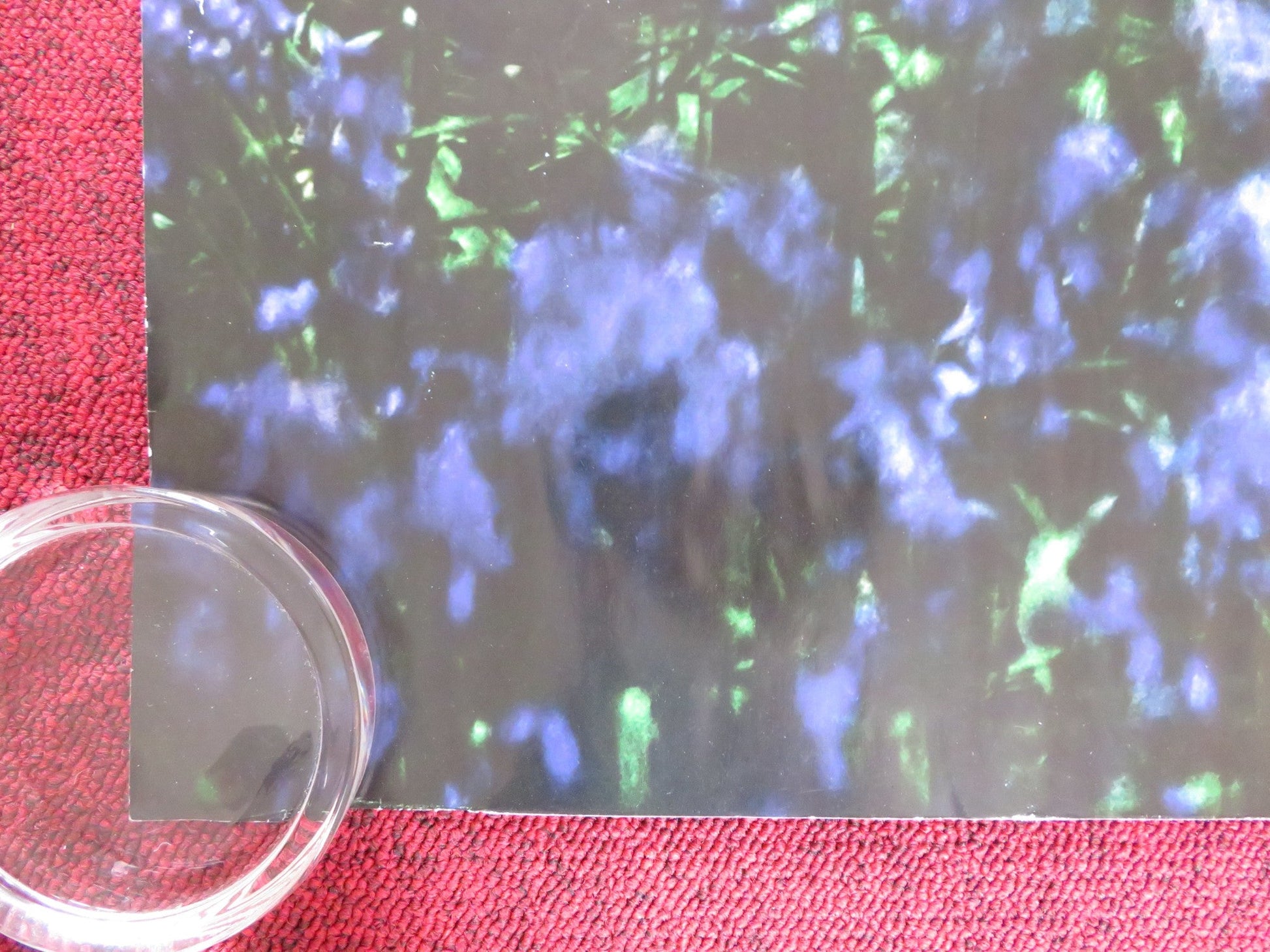 BRIGHT STAR UK QUAD ROLLED POSTER BEN WHISHAW ABBIE CORNISH 2009 Rendezvous Cinema Movie posters