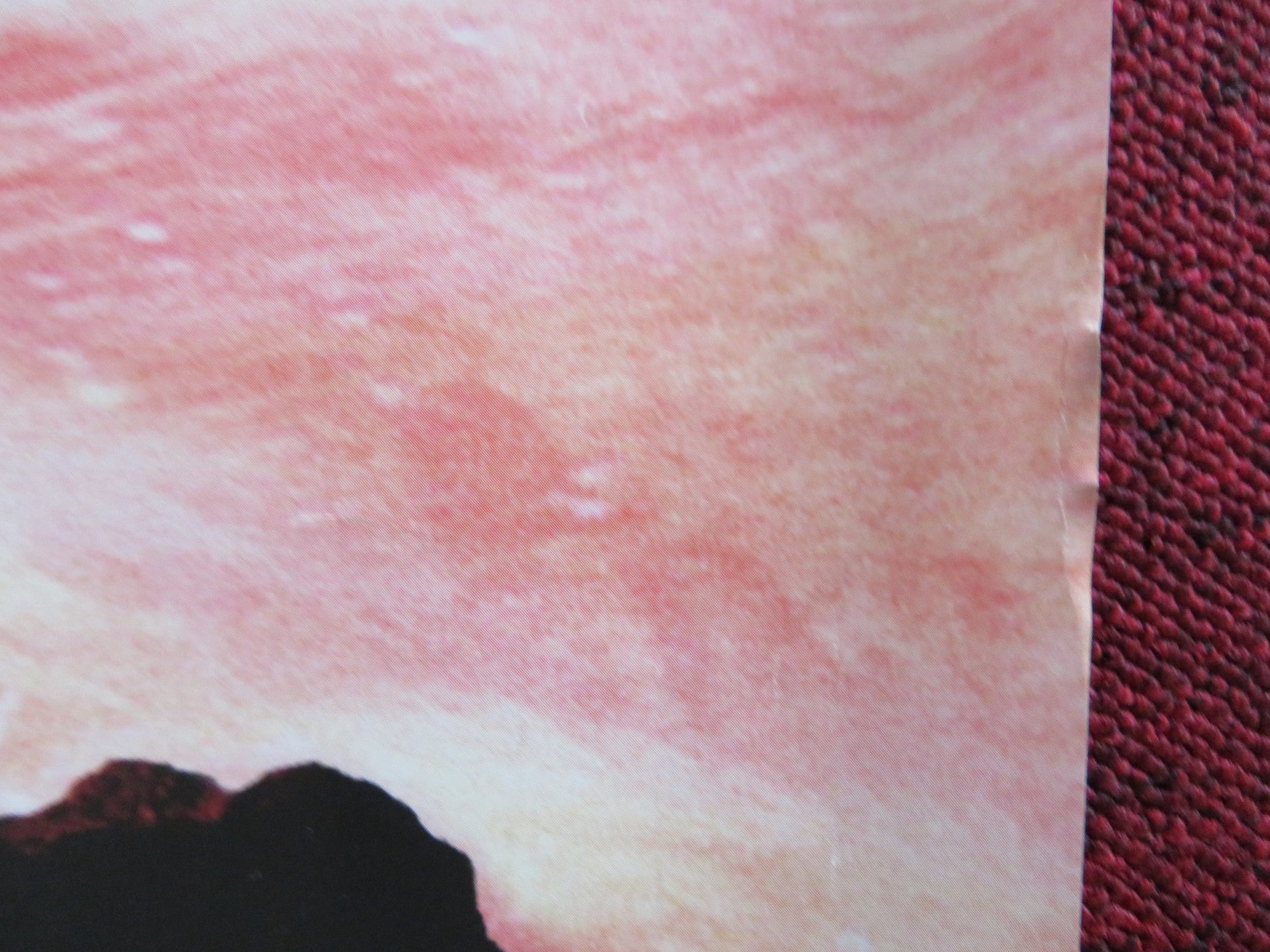 BRIGSBY BEAR UK QUAD (30"x 40") ROLLED POSTER CLAIRE DANES GREG KINNEAR 2017 Rendezvous Cinema Movie posters