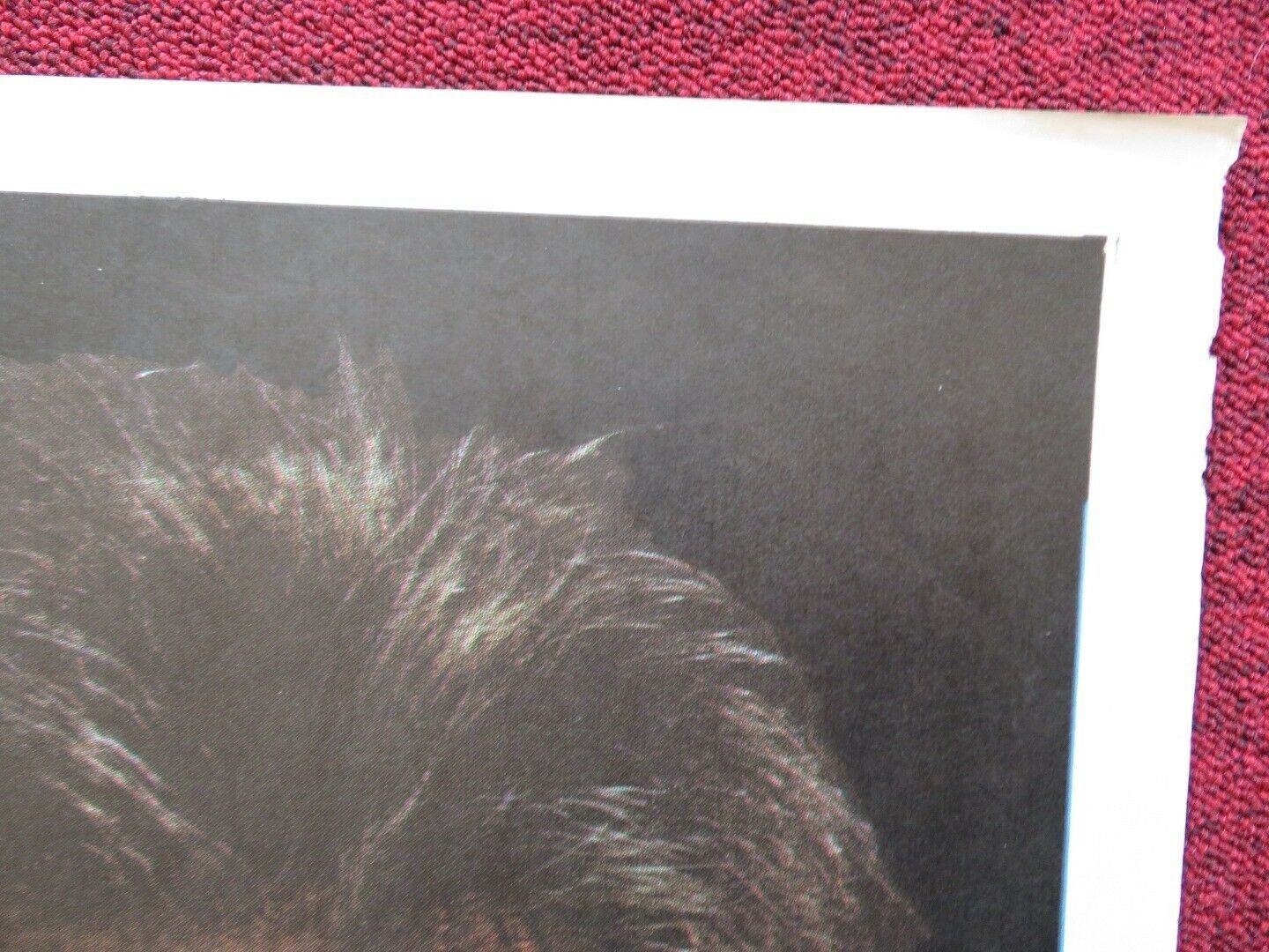 BRONCO BILLY SPANISH ONE SHEET FOLDED POSTER CLINT EASTWOOD SONDRA LOCKE 1980 Movie posters