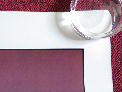 BROOKE DOES COLLEGE US ONE SHEET ROLLED POSTER BROOKE FIELDS CODY NICOLE 1984 Rendezvous Cinema Movie posters