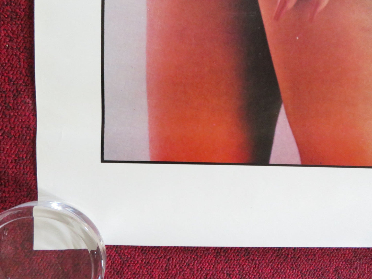 BROOKE DOES COLLEGE US ONE SHEET ROLLED POSTER BROOKE FIELDS CODY NICOLE 1984 Rendezvous Cinema Movie posters