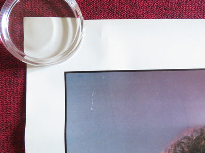 BROOKE DOES COLLEGE US ONE SHEET ROLLED POSTER BROOKE FIELDS CODY NICOLE 1984 Rendezvous Cinema Movie posters