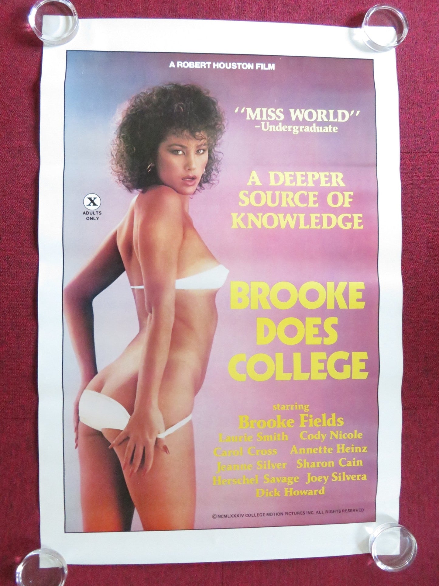 BROOKE DOES COLLEGE US ONE SHEET ROLLED POSTER BROOKE FIELDS CODY NICOLE 1984 Rendezvous Cinema Movie posters